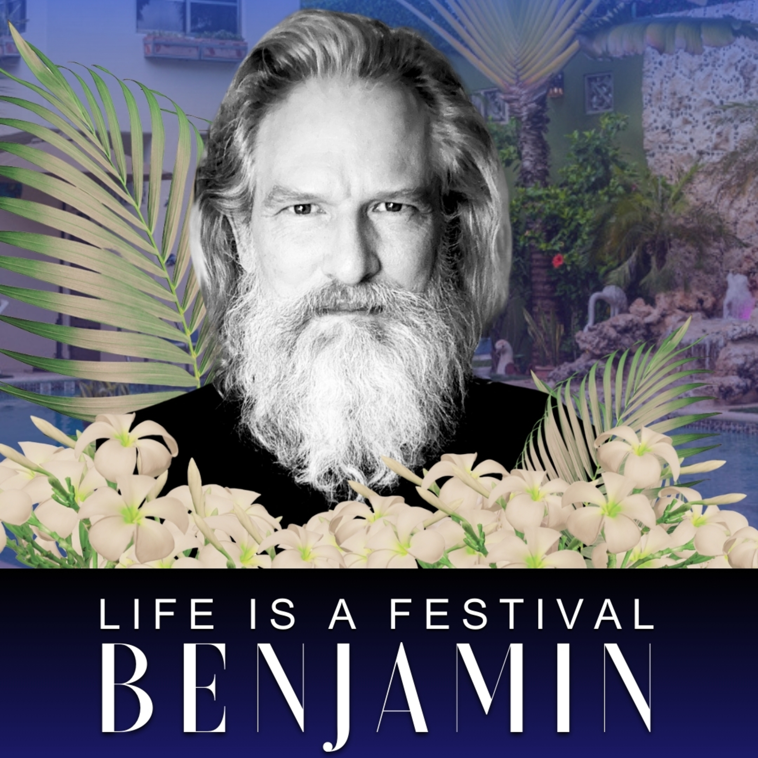 Life is a Festival
