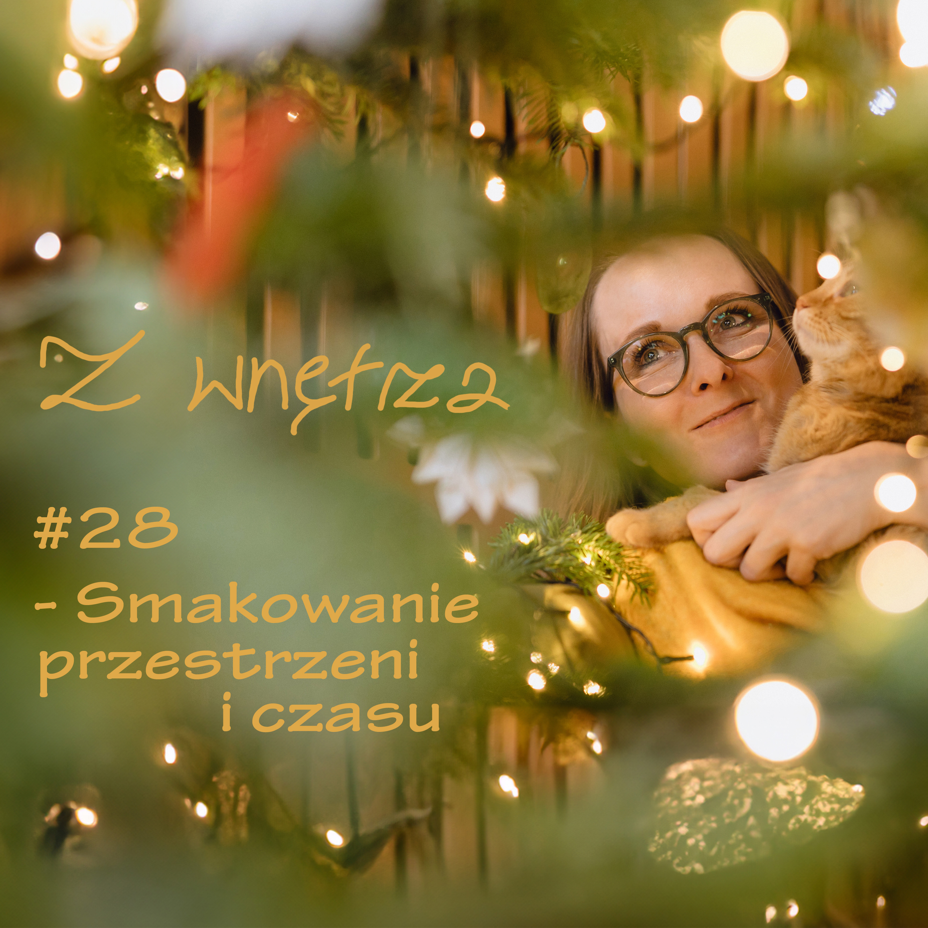 Z wnętrza