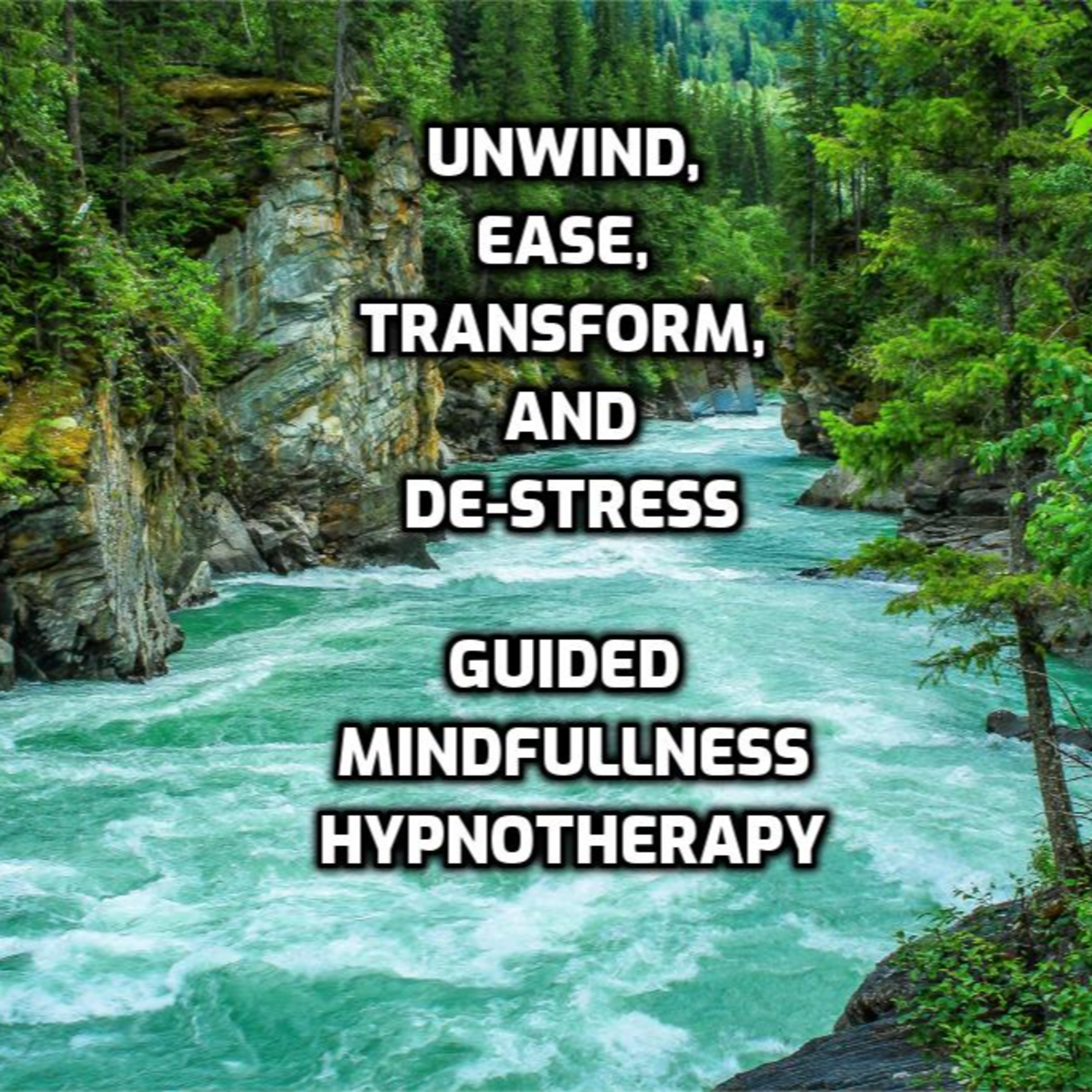 Audice Wellness Services