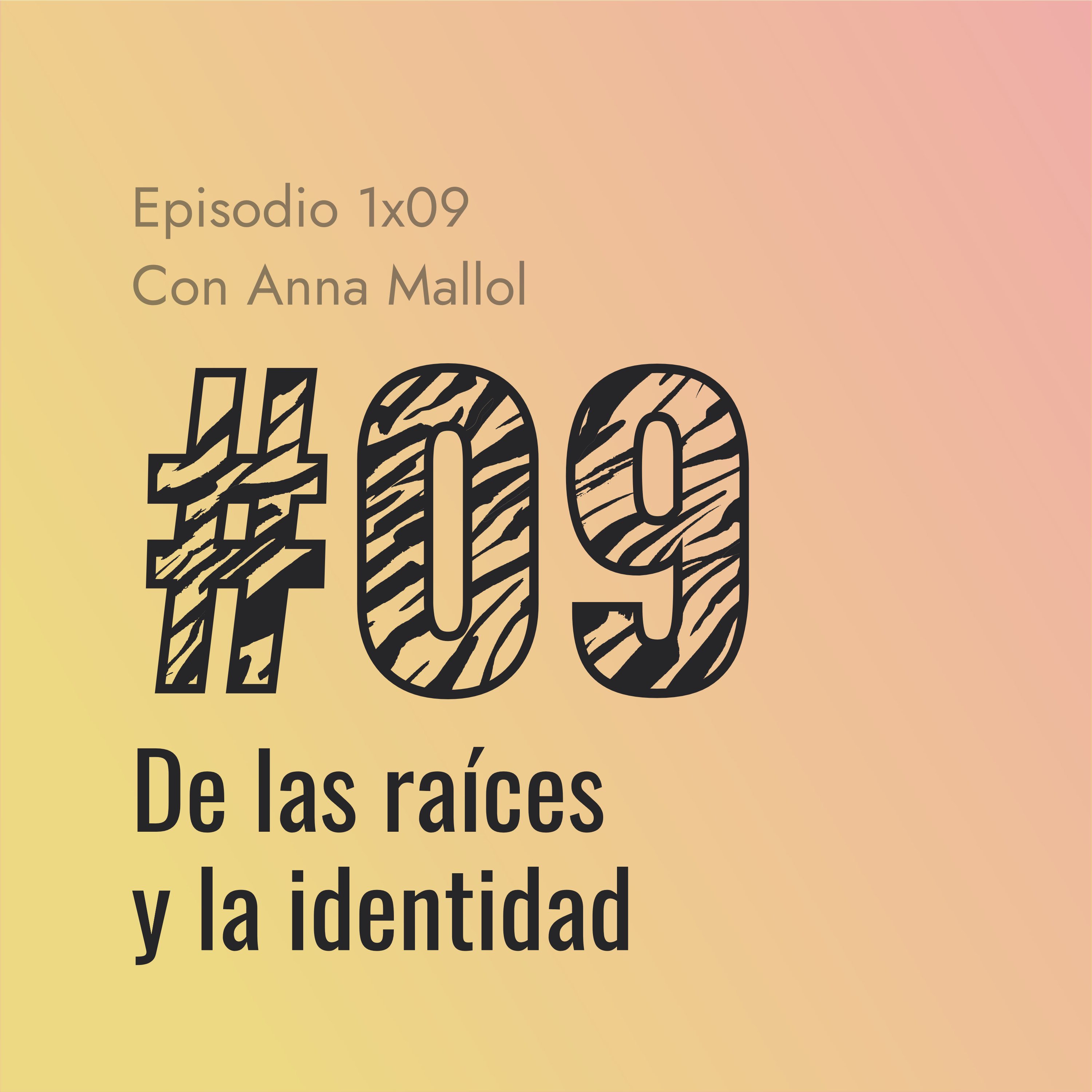 Cebras de Paso