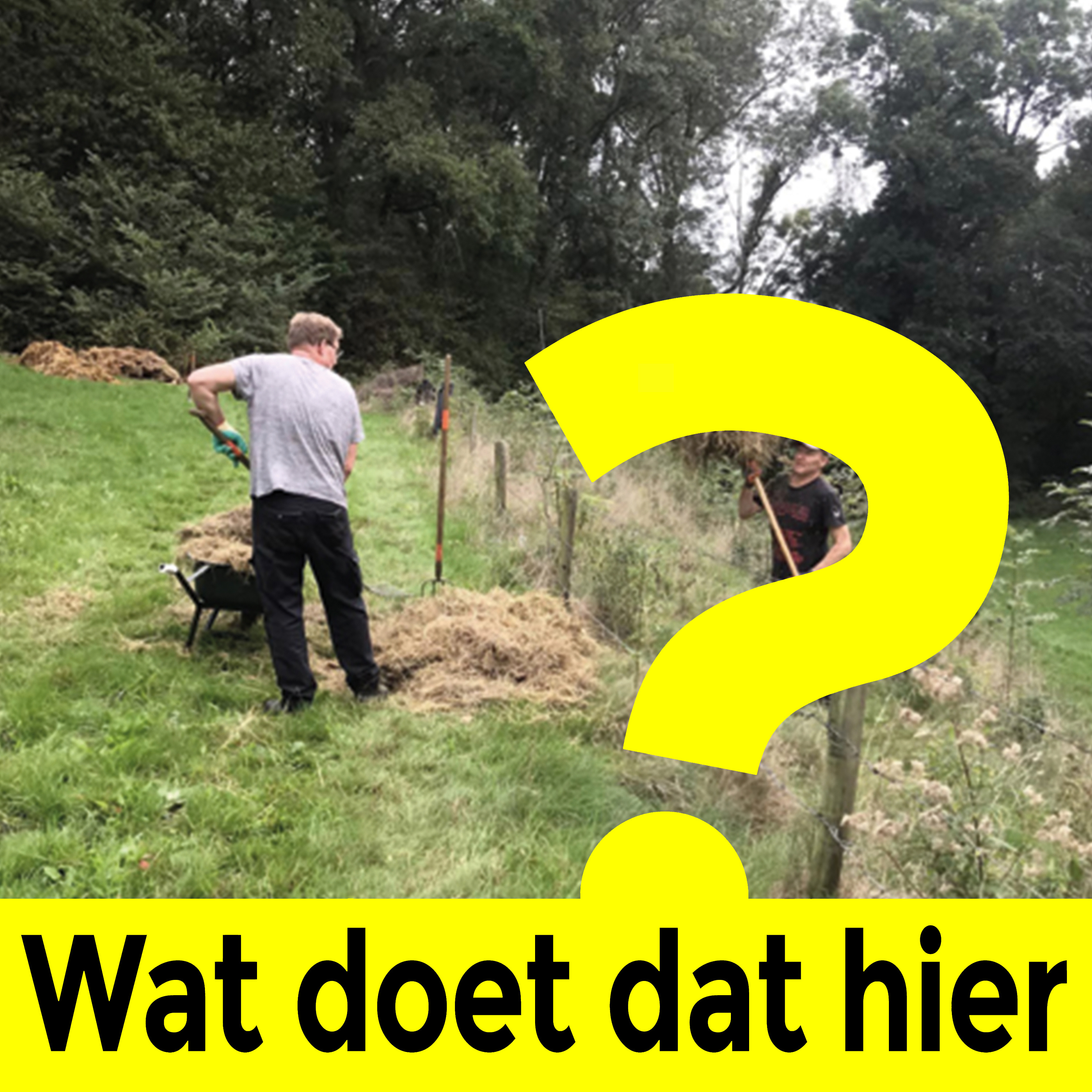 Wat doet dat hier?