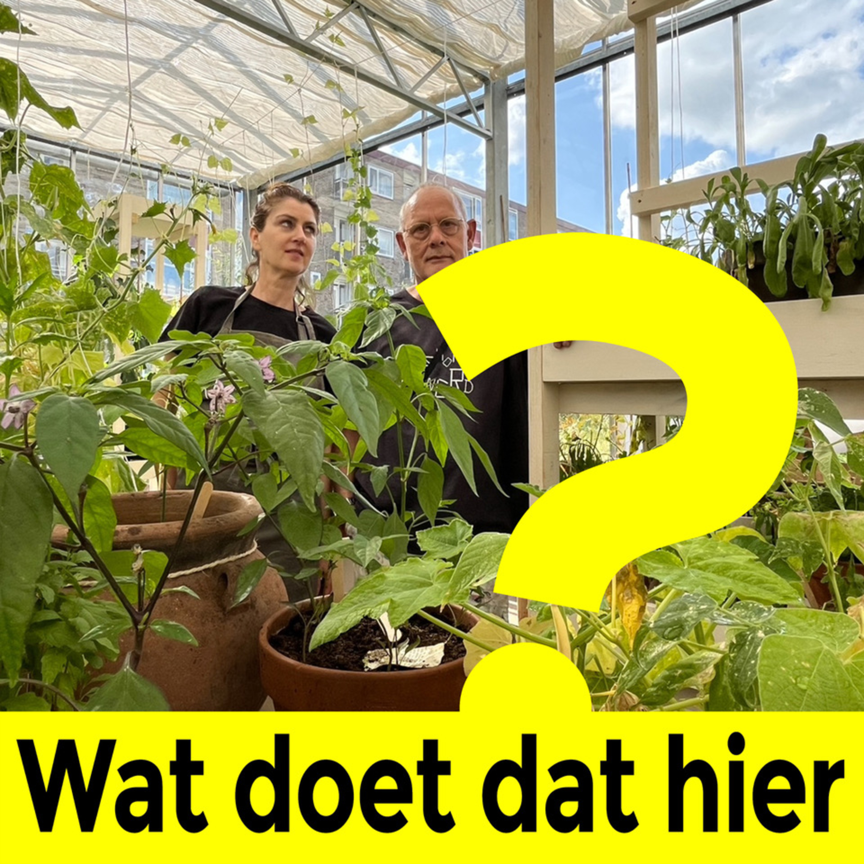 Wat doet dat hier?