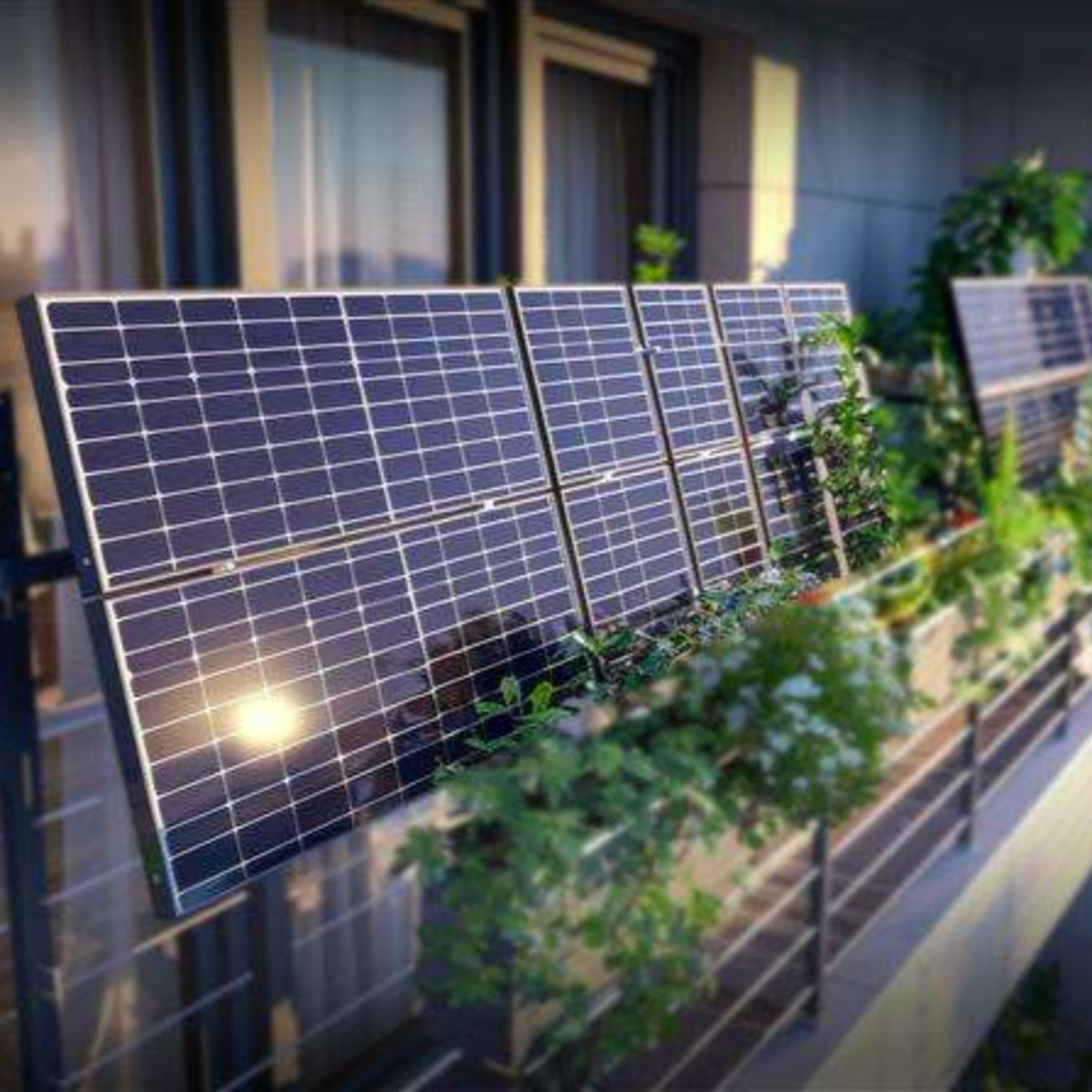 Spiderum Official cover image