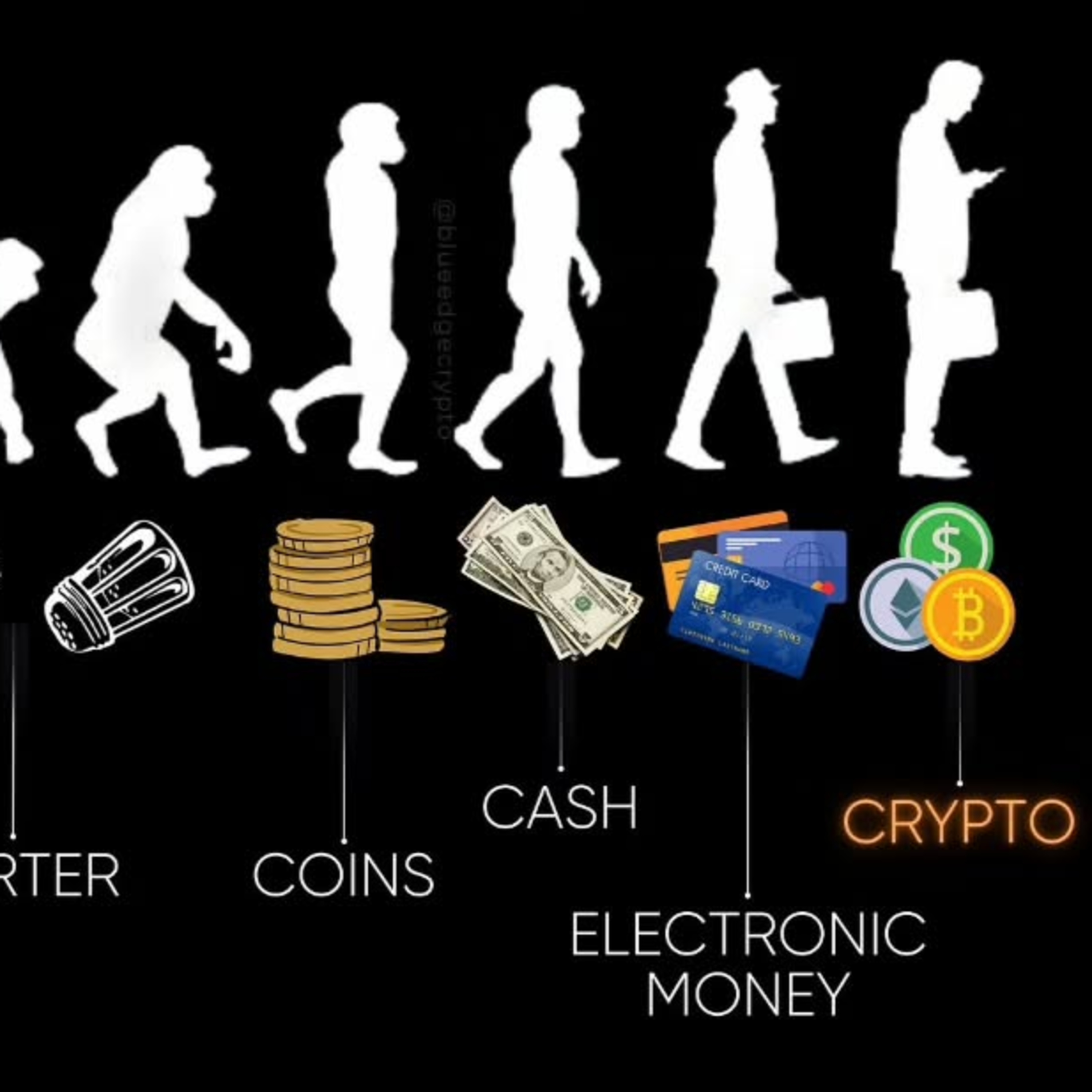 Spiderum Official cover image