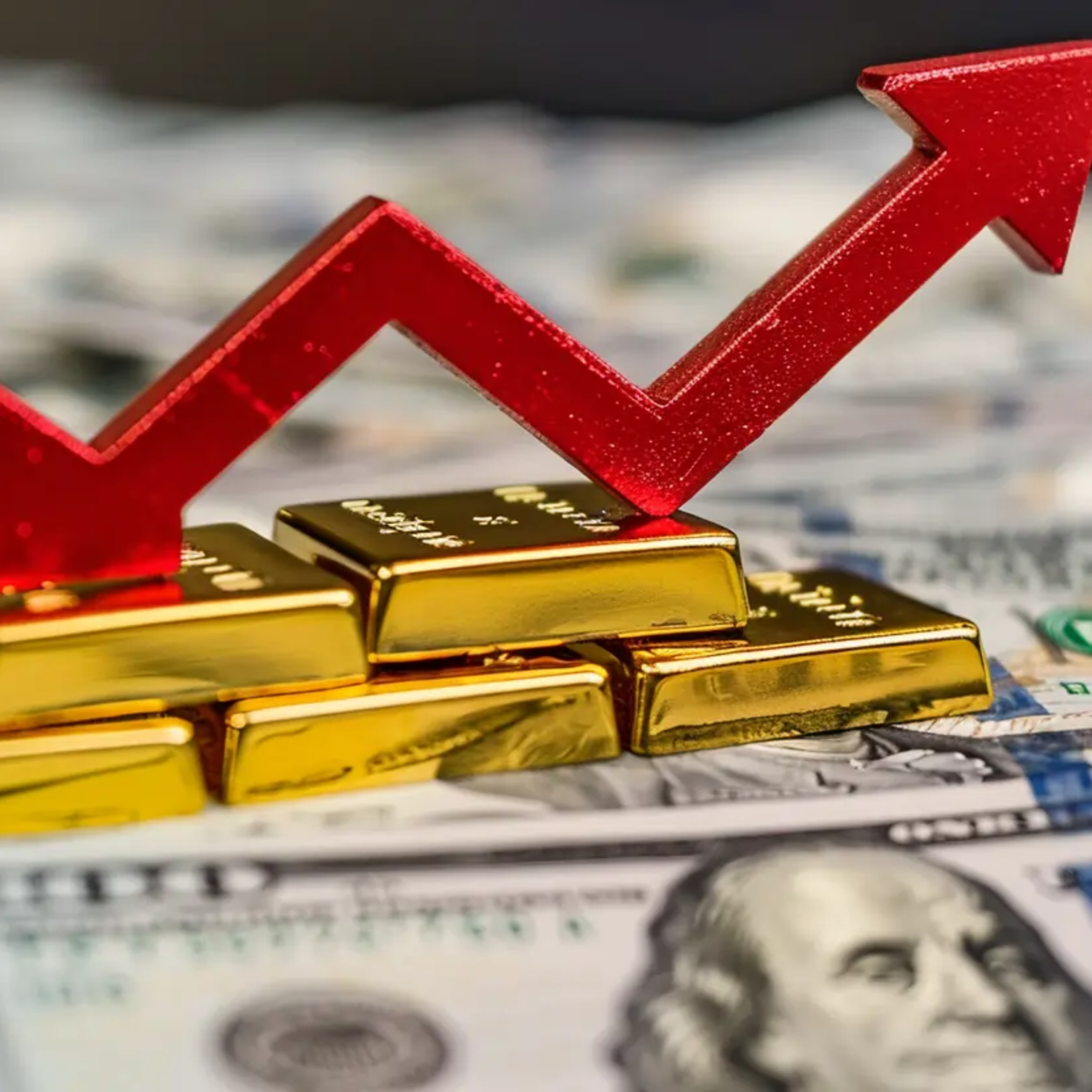 Spiderum Official cover image