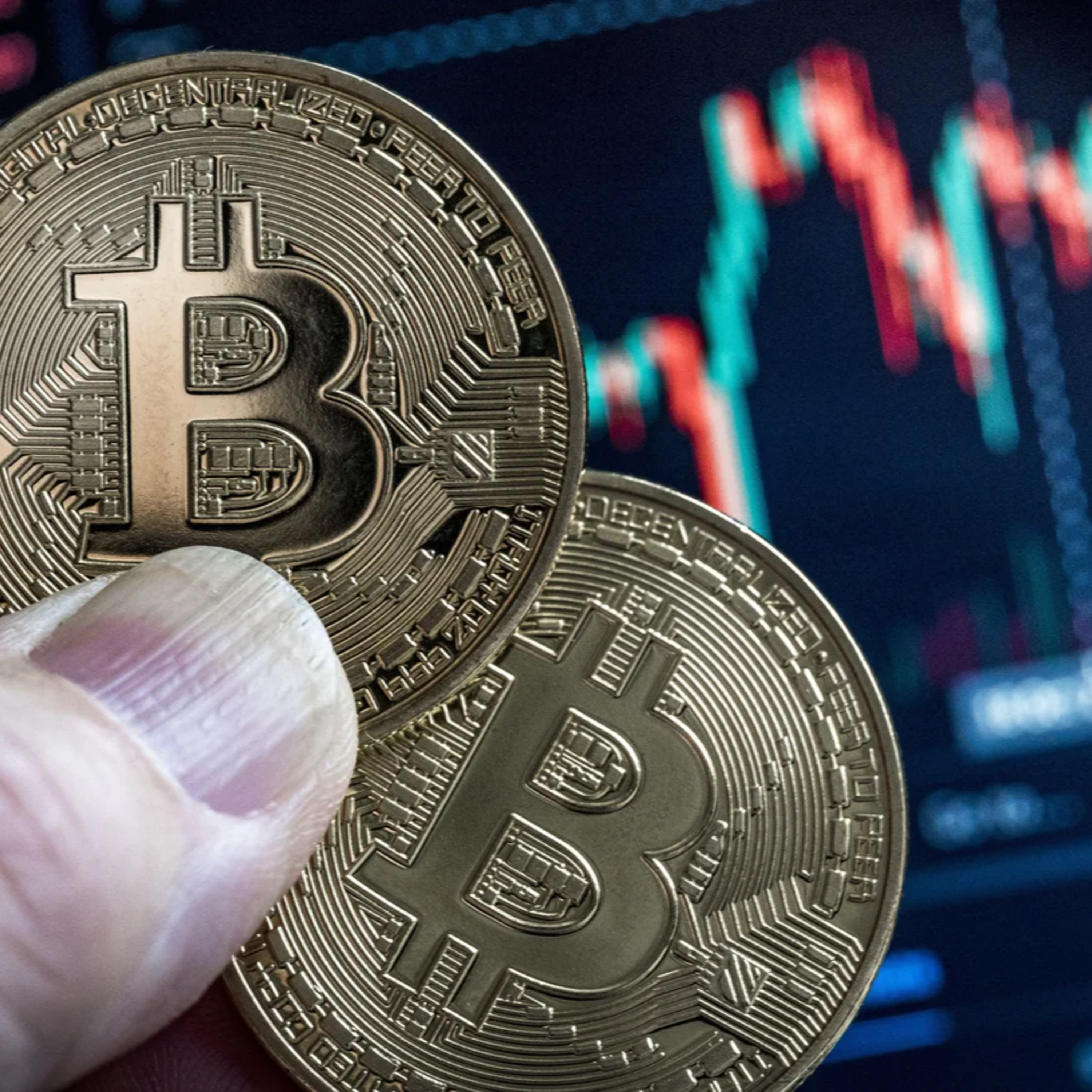 Spiderum Official cover image