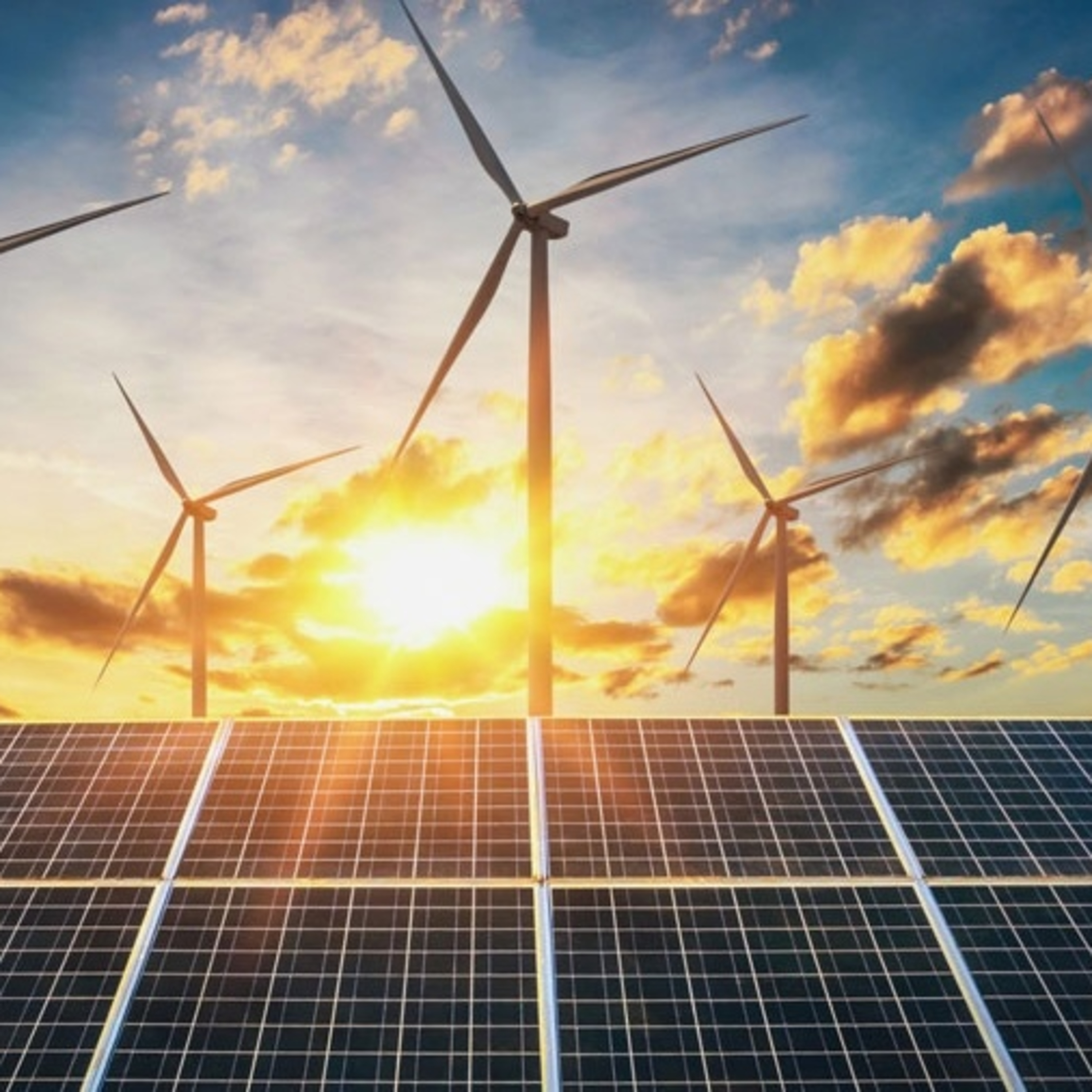 Spiderum Official cover image