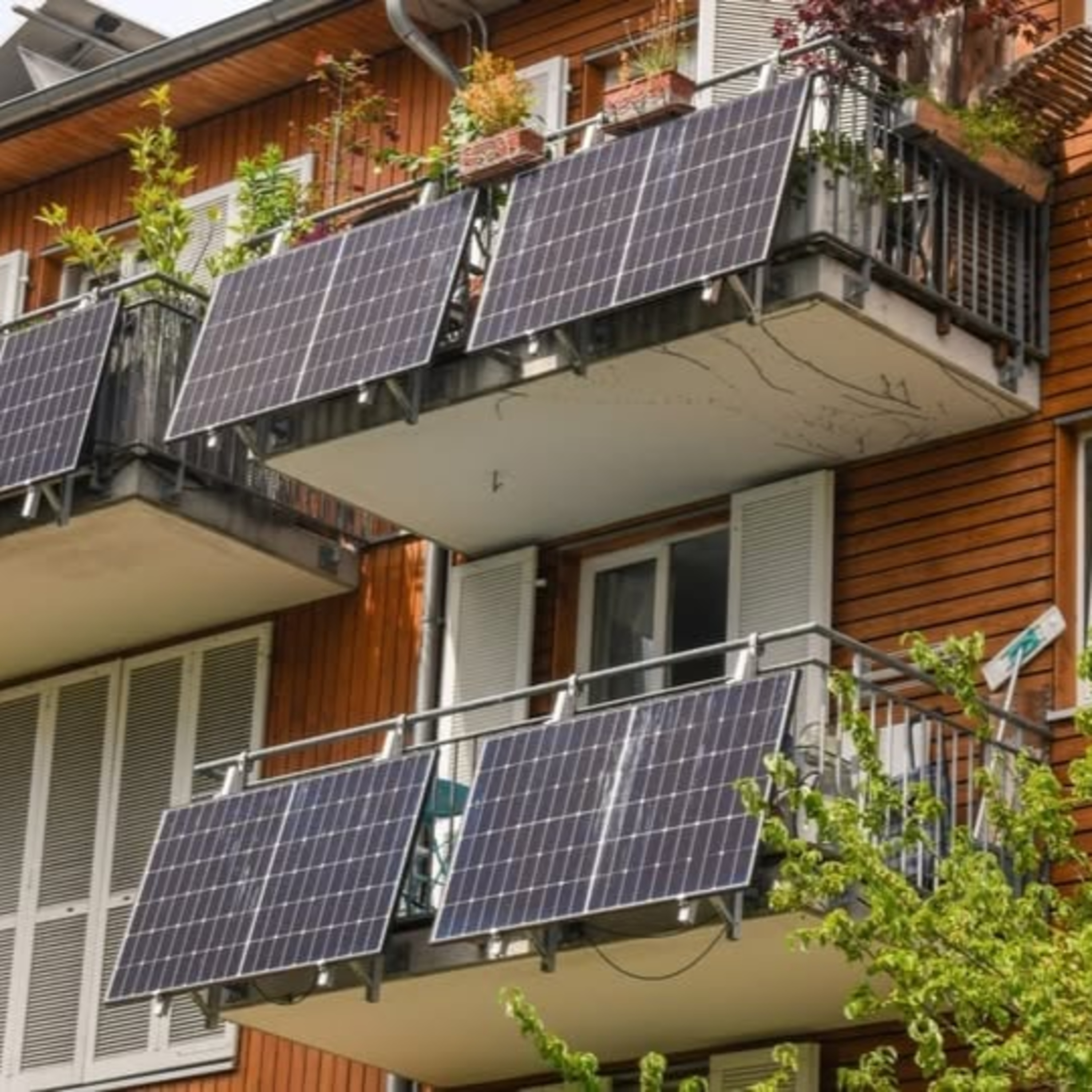 Spiderum Official cover image