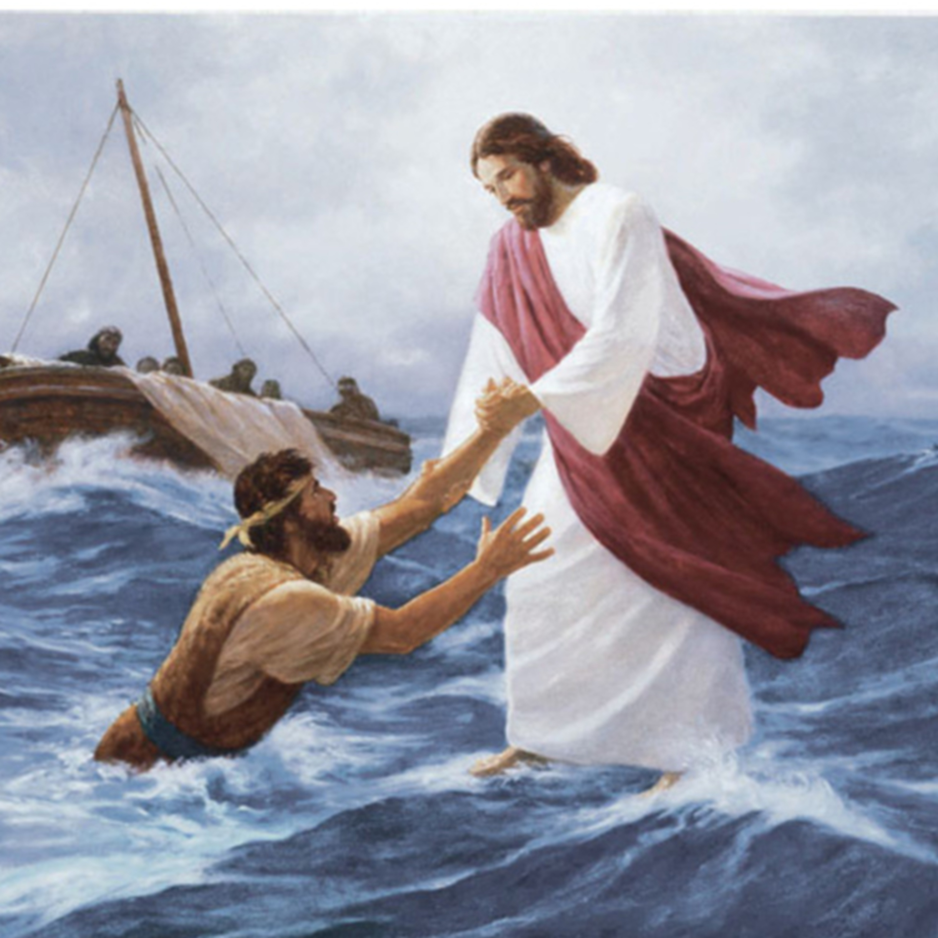 Spiderum Official cover image