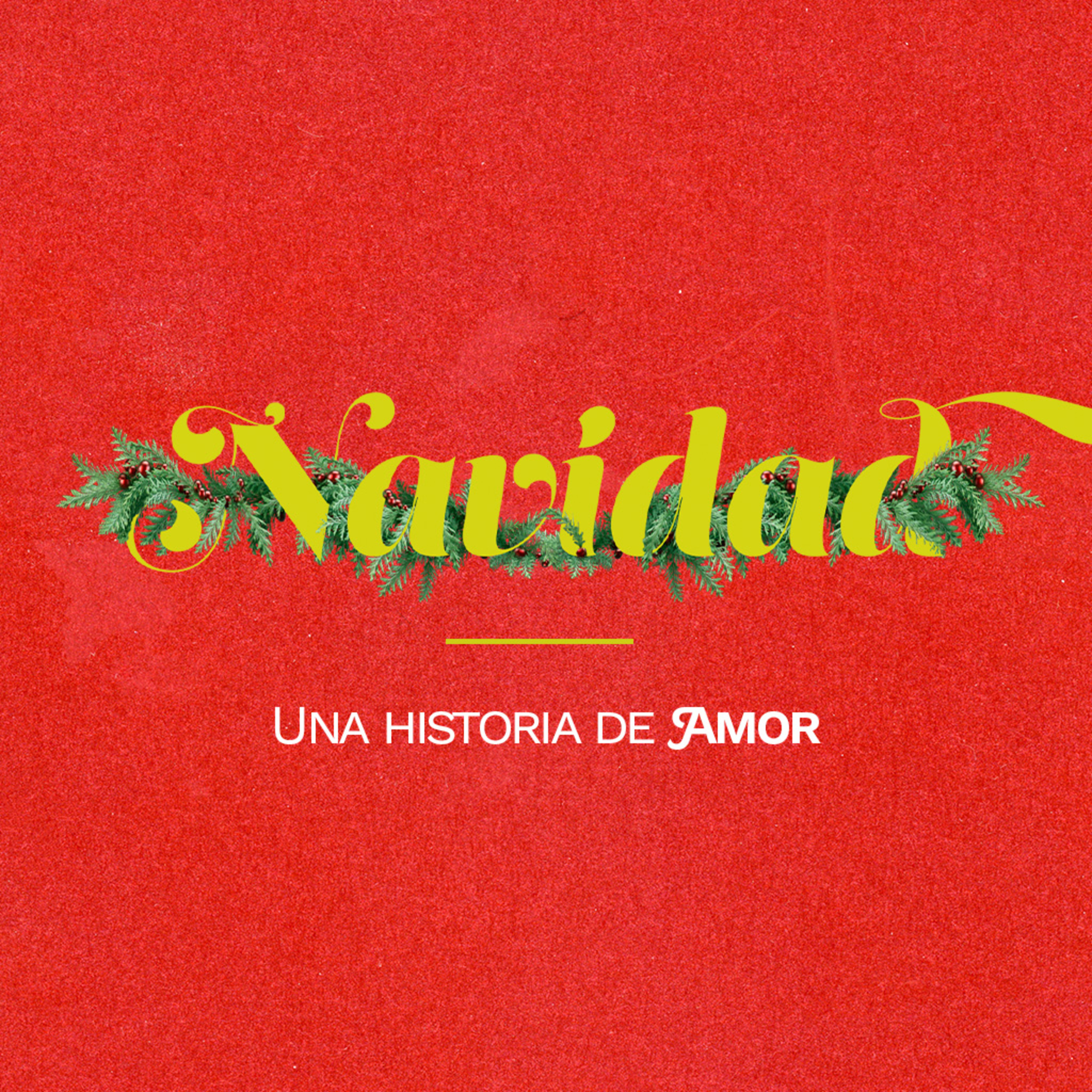 Semilla Santa Mónica