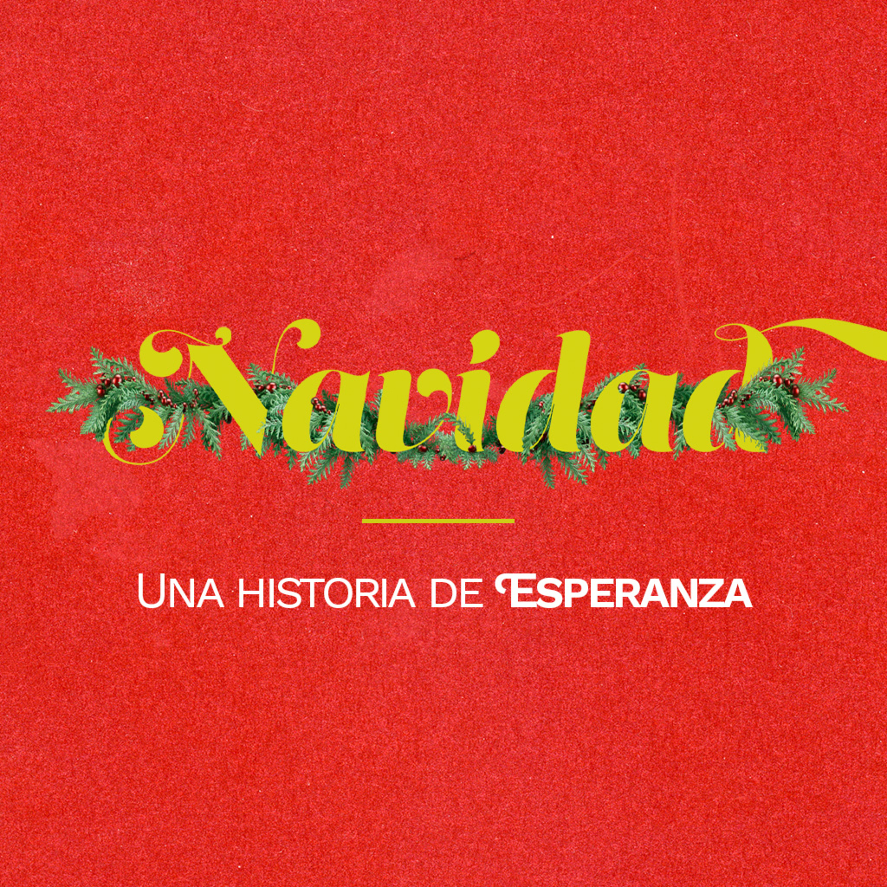 Semilla Santa Mónica