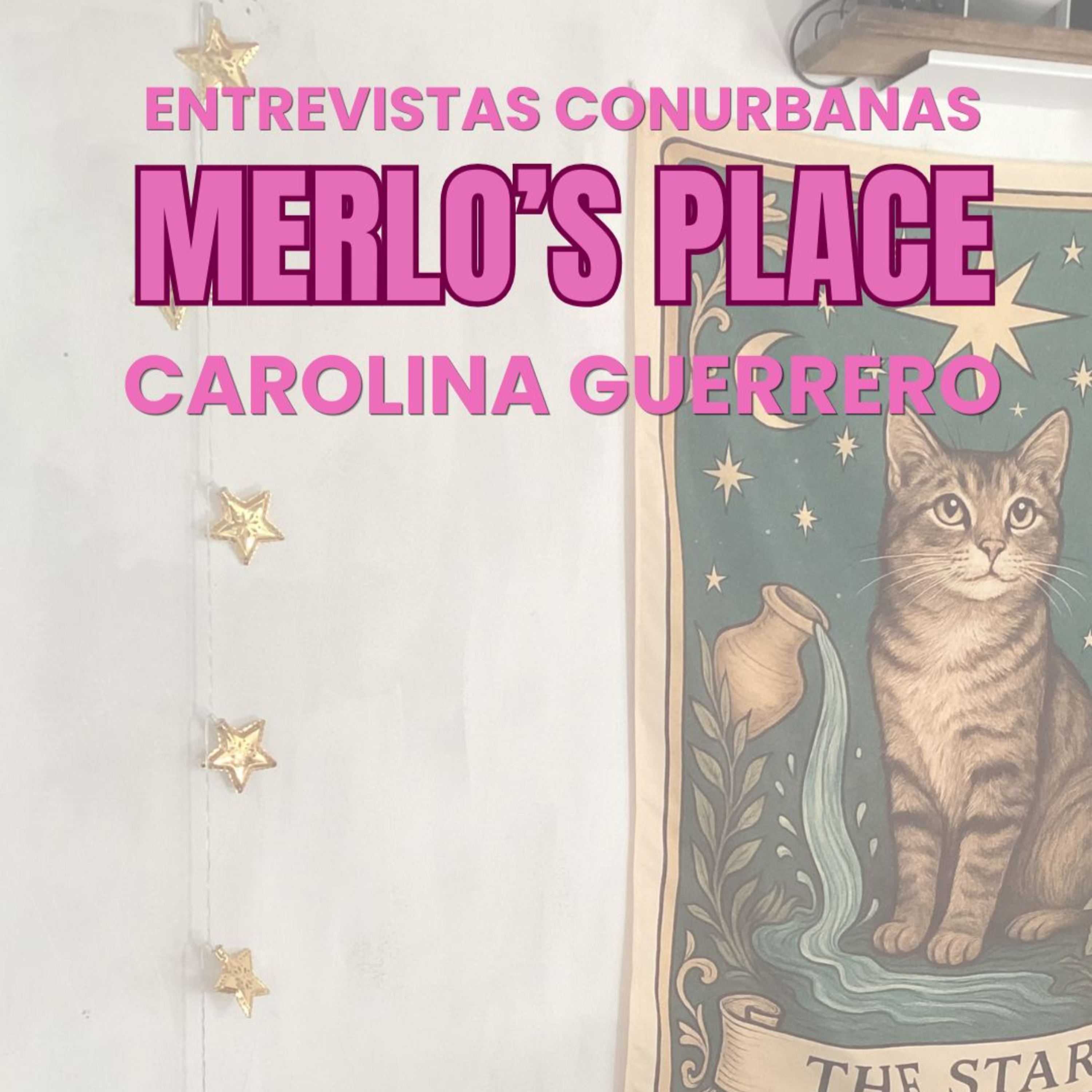 Portada de MERLO´S PLACE