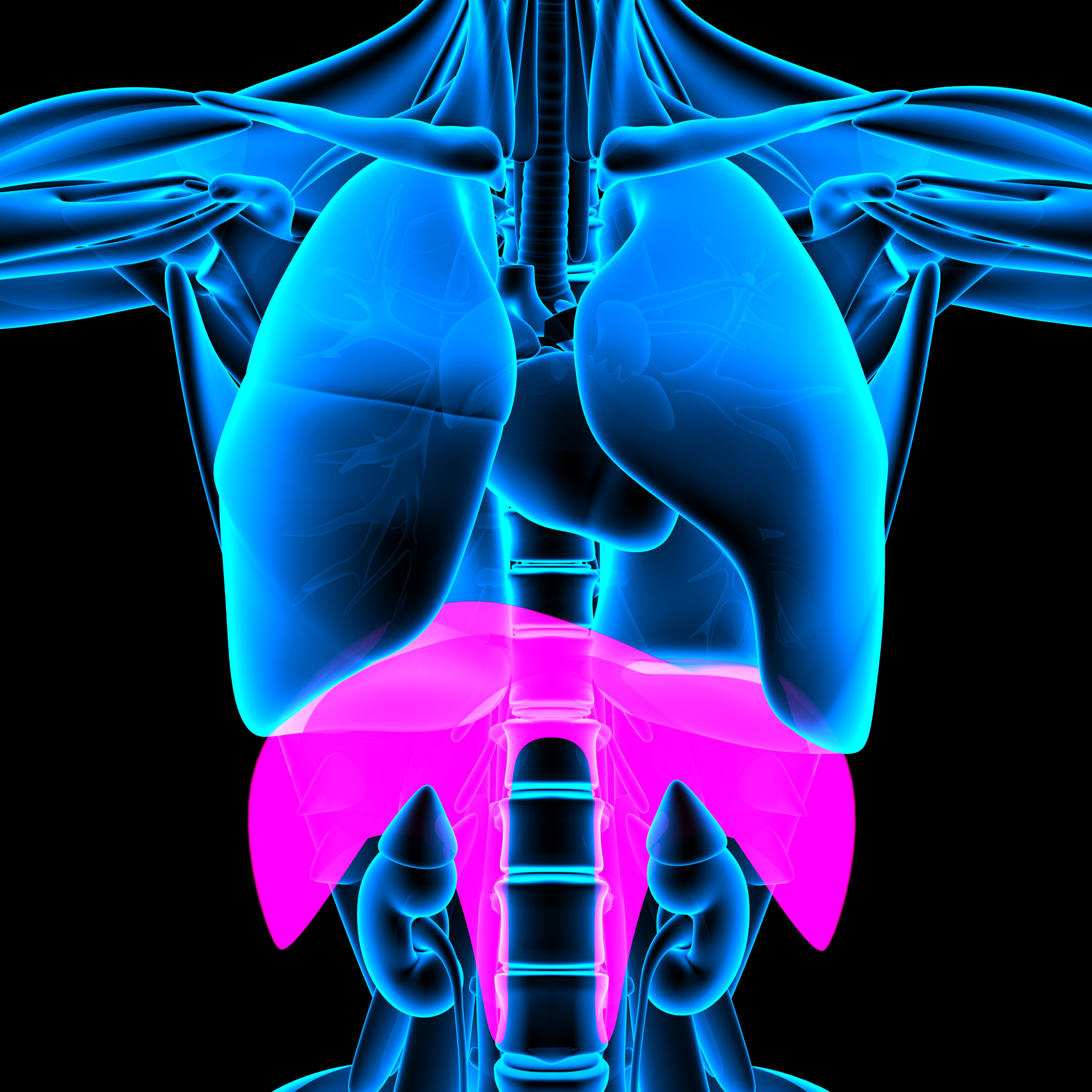 Ep. 210: Top 10 Breathing Tips for Beginners | BJ Gaddour Men's Health Fitness Lifestyle Business episode artwork