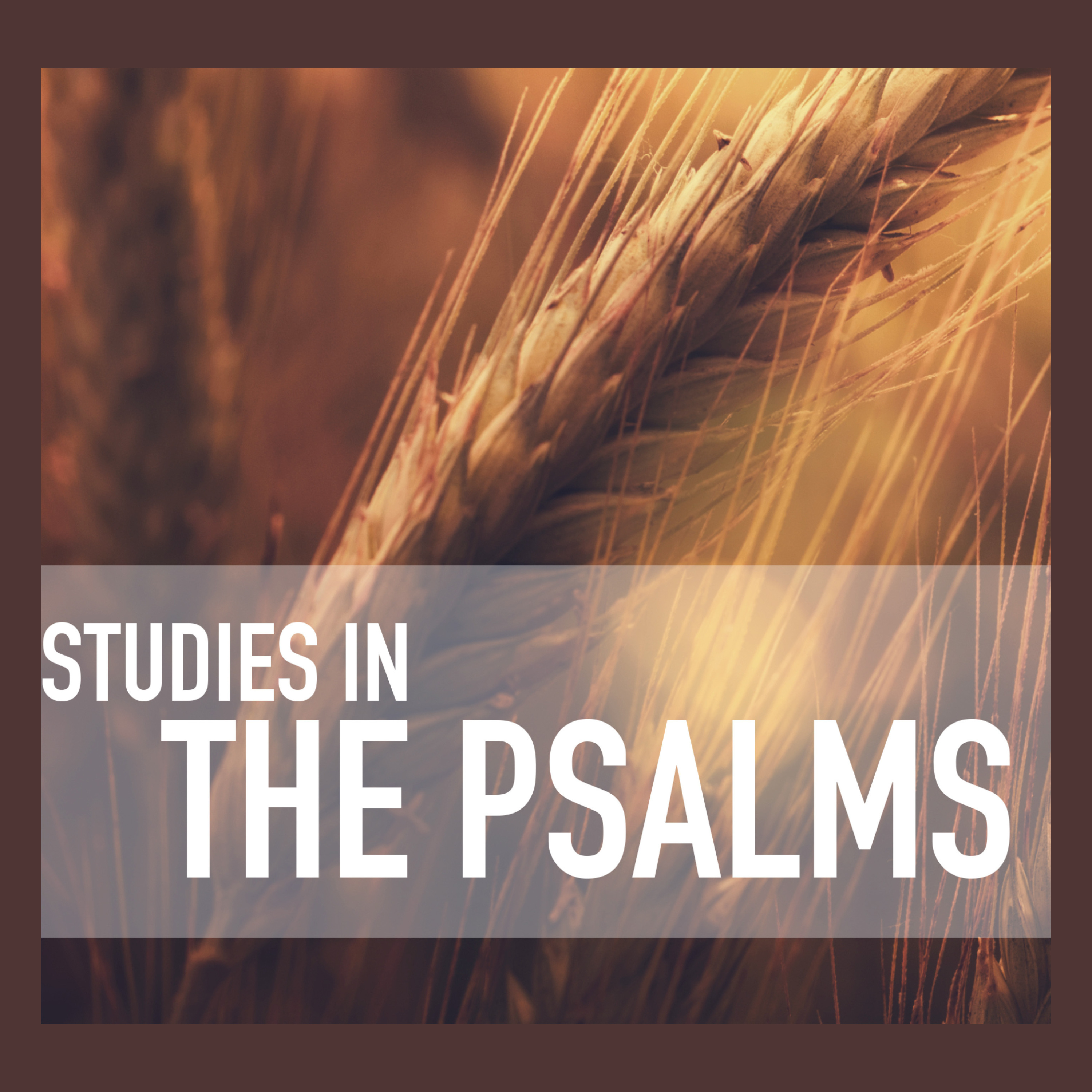 Studies in the Psalms: "Psalm 87" episode artwork