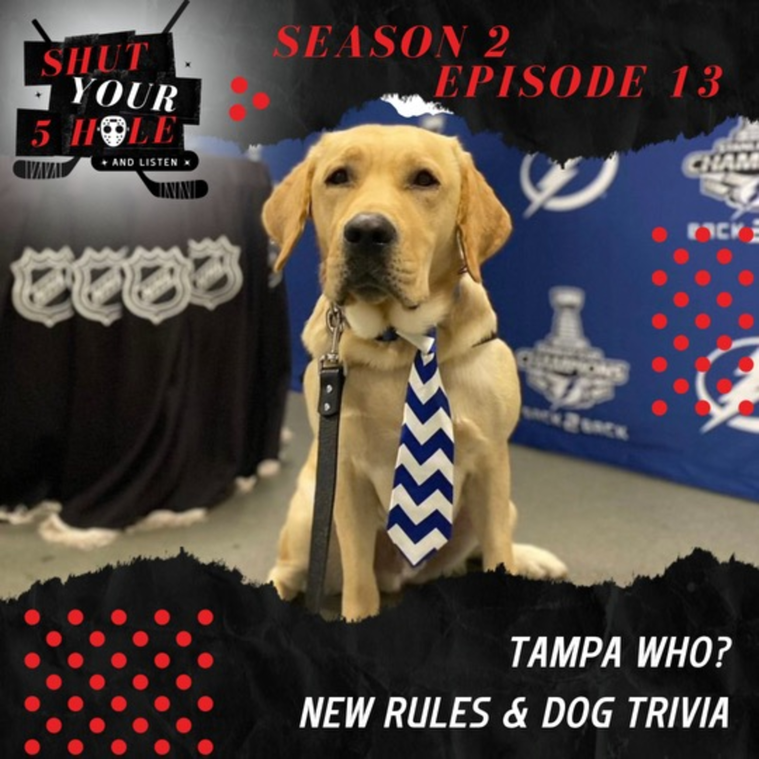 Tampa Who? New Rules & Dog Trivia episode artwork