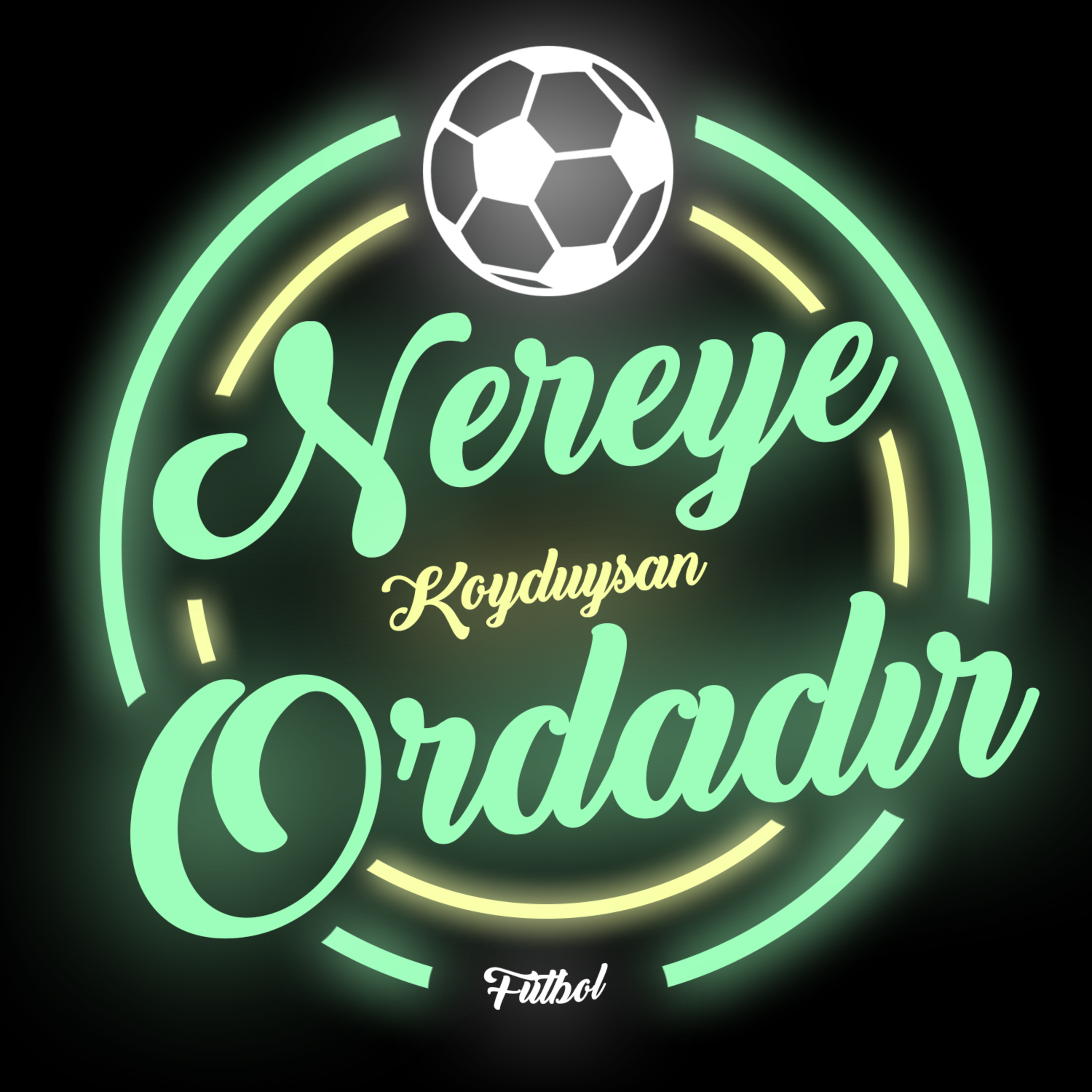 Nereye Koyduysan Ordadır