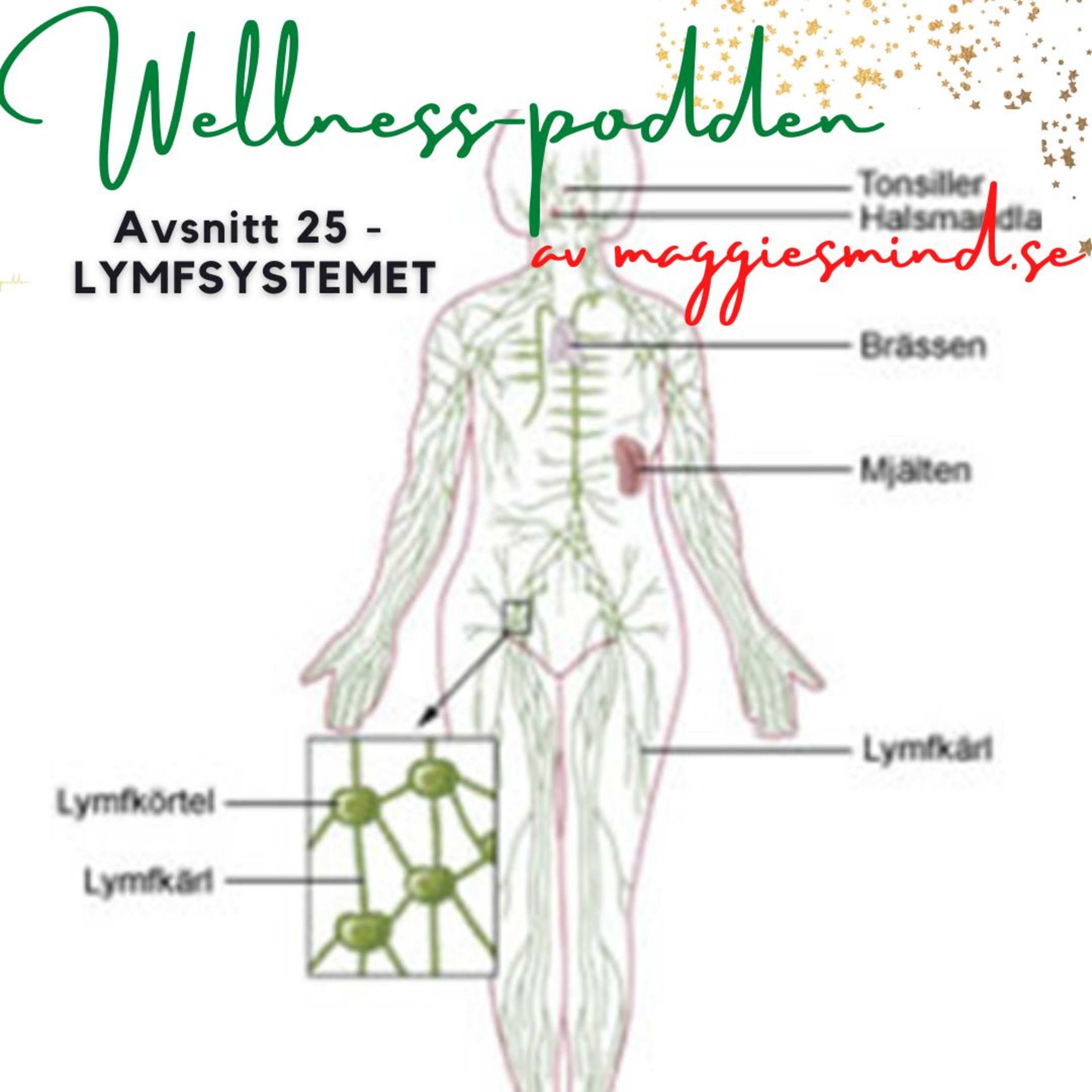 Wellnesspodden