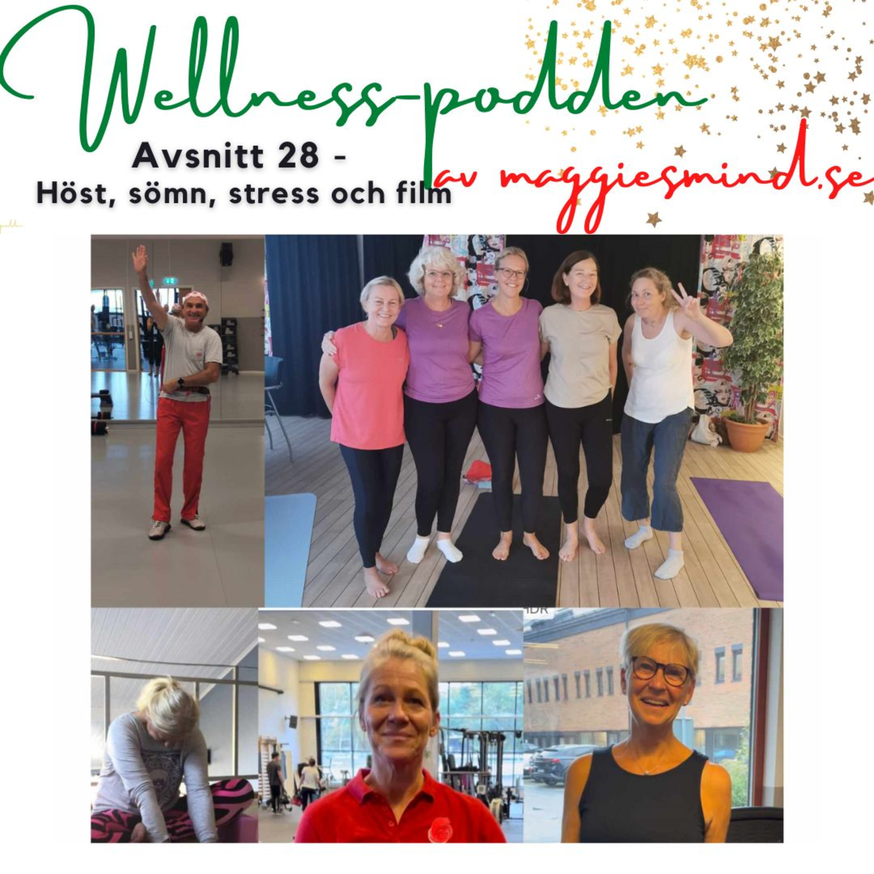 Wellnesspodden