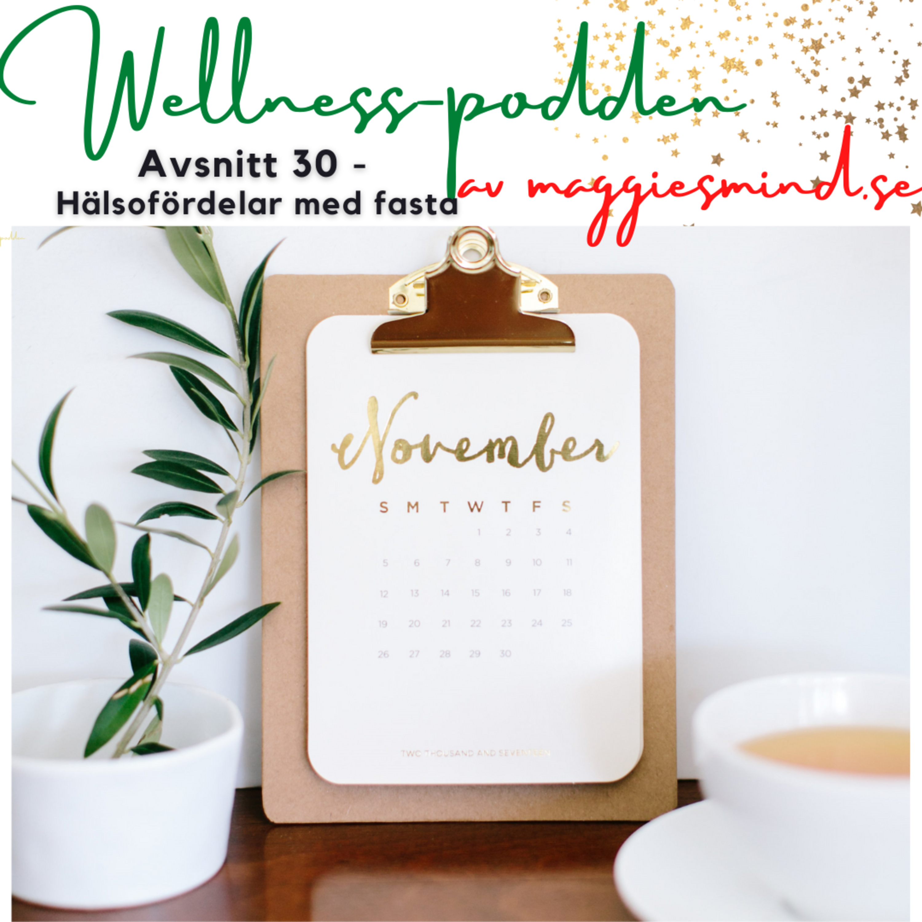 Wellnesspodden