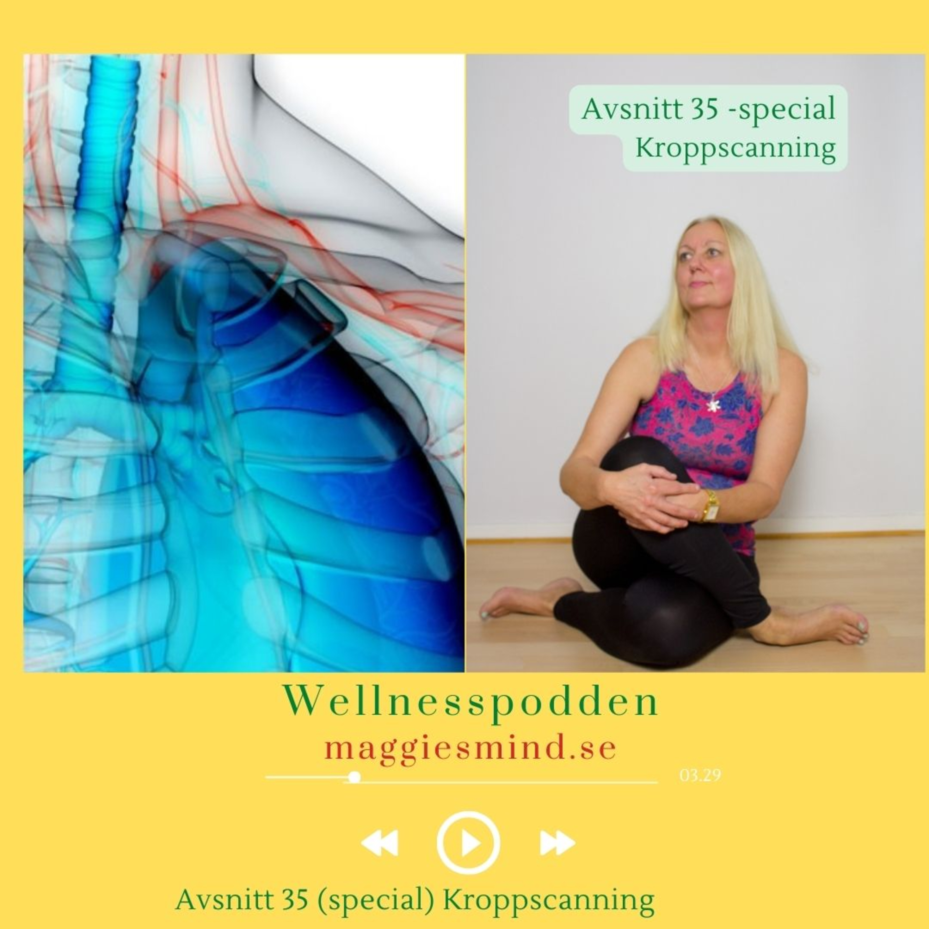 Wellnesspodden