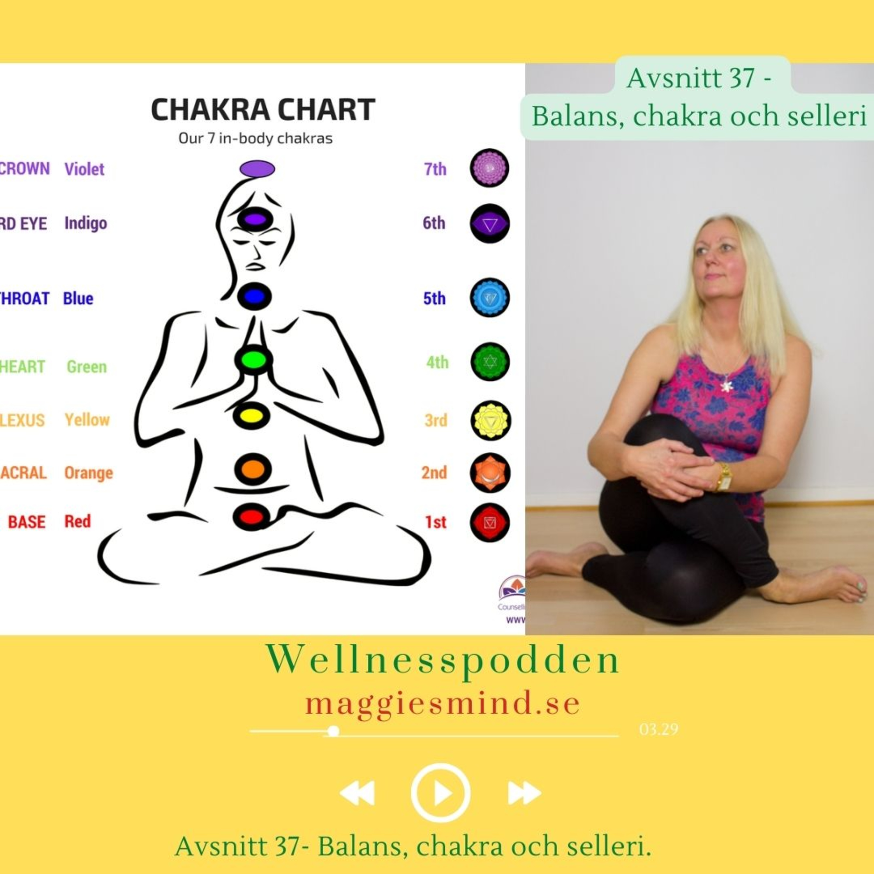 Wellnesspodden