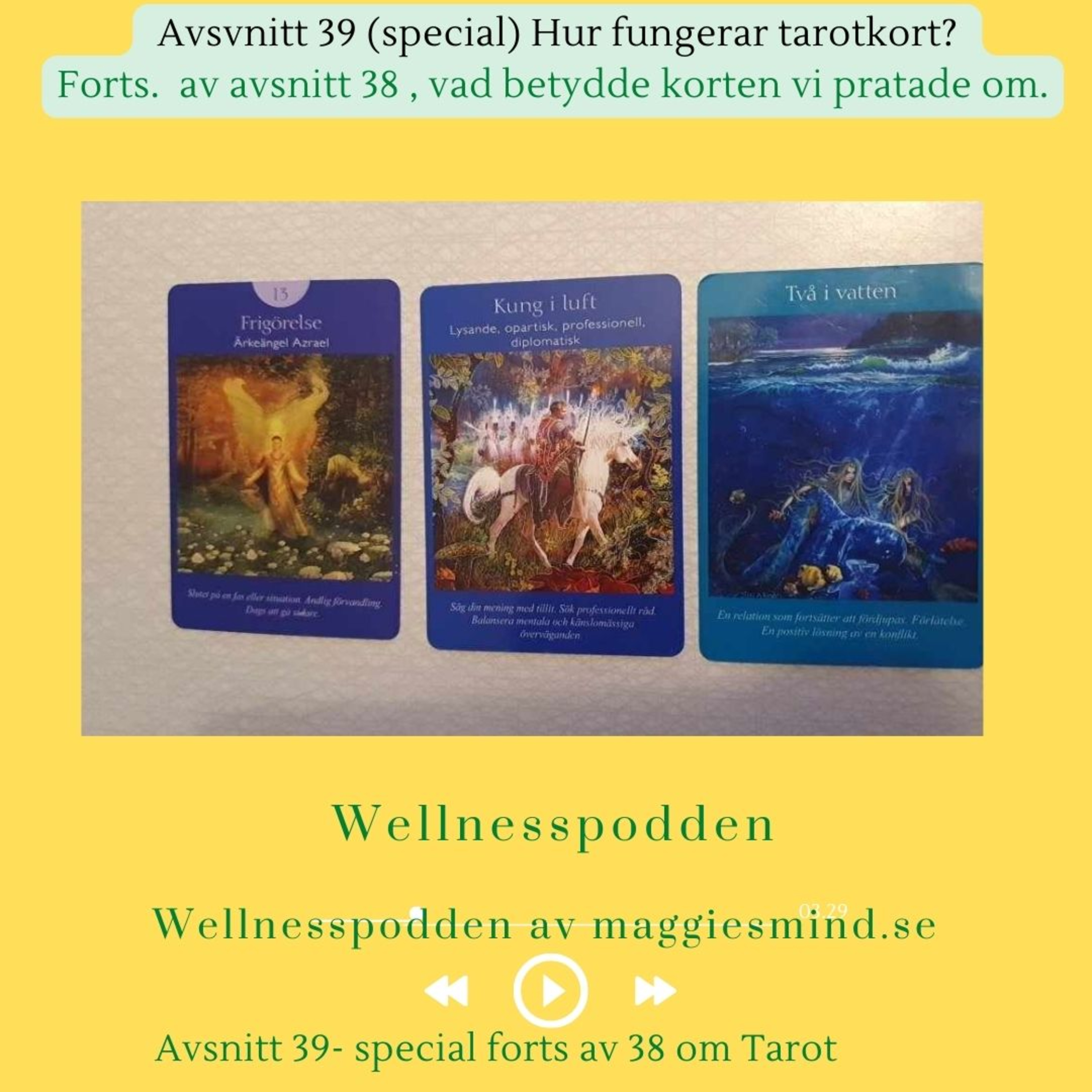 Wellnesspodden