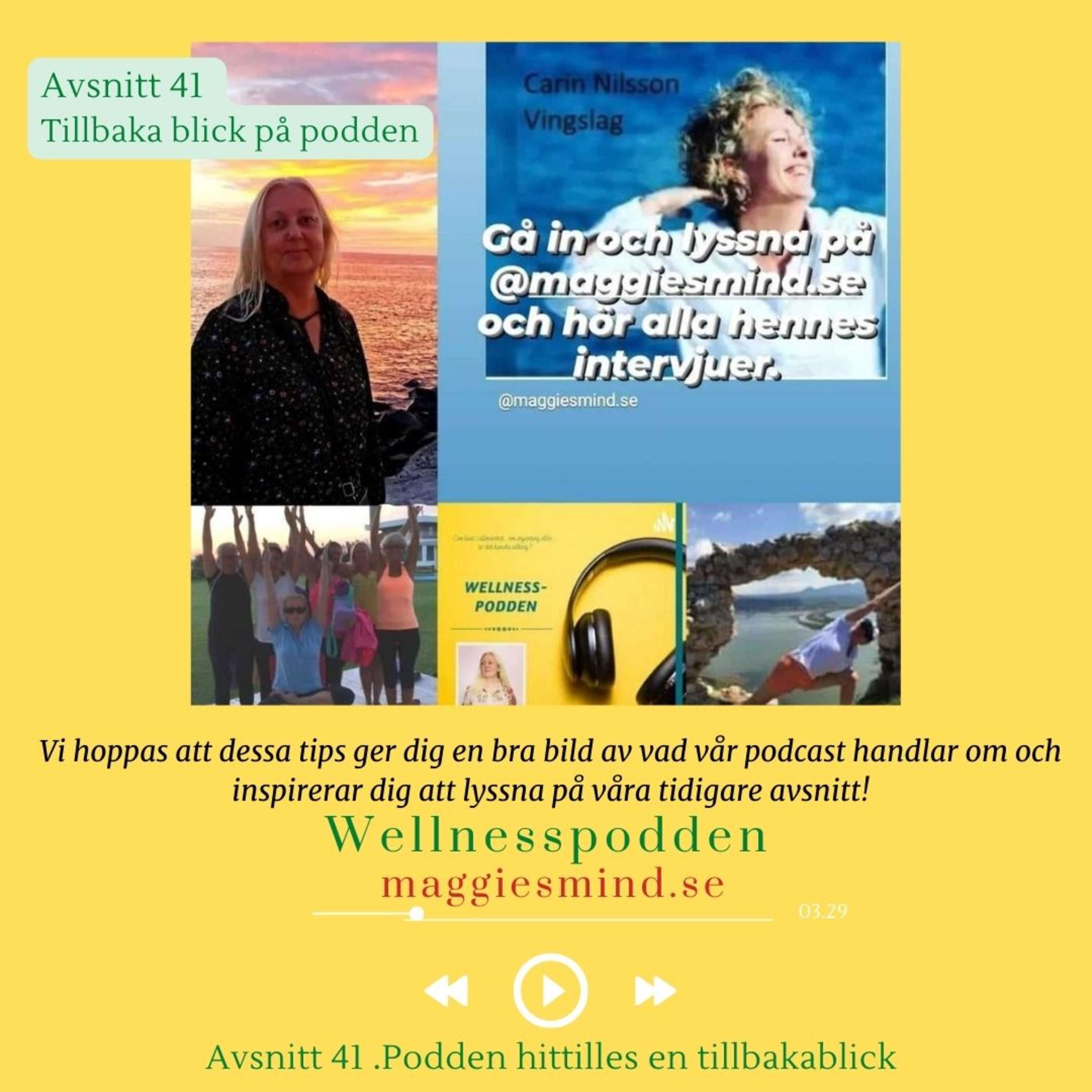 Wellnesspodden