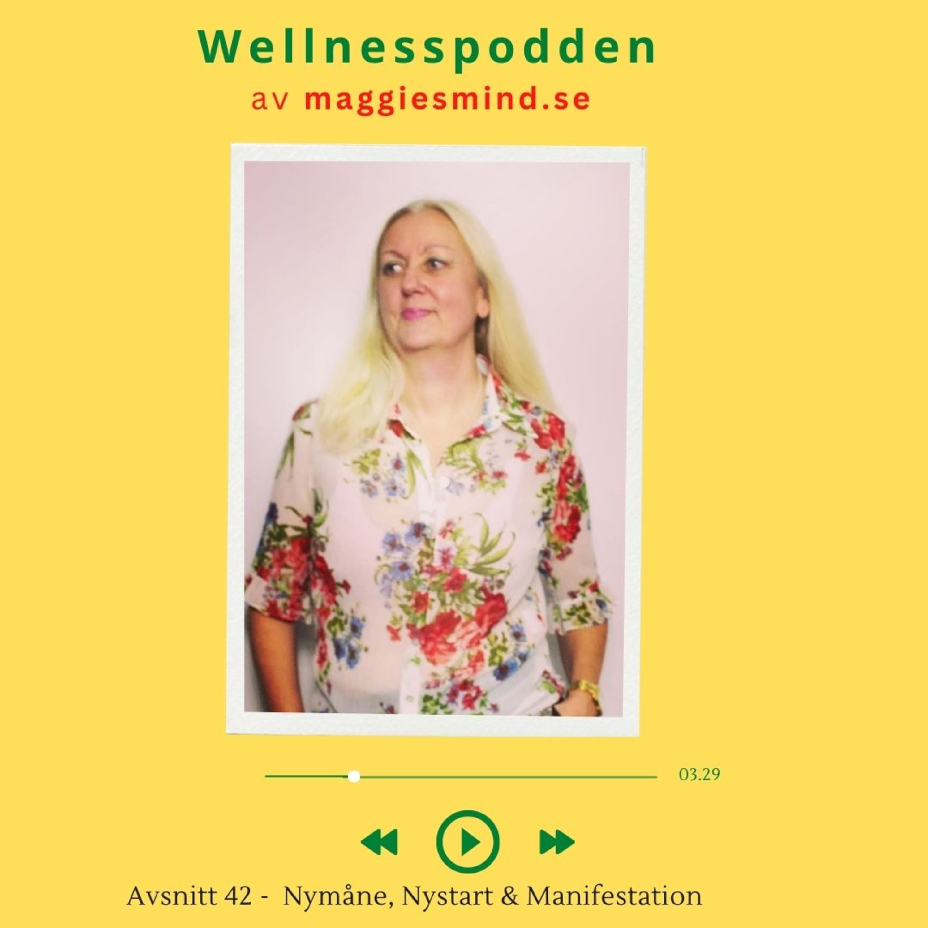 Wellnesspodden