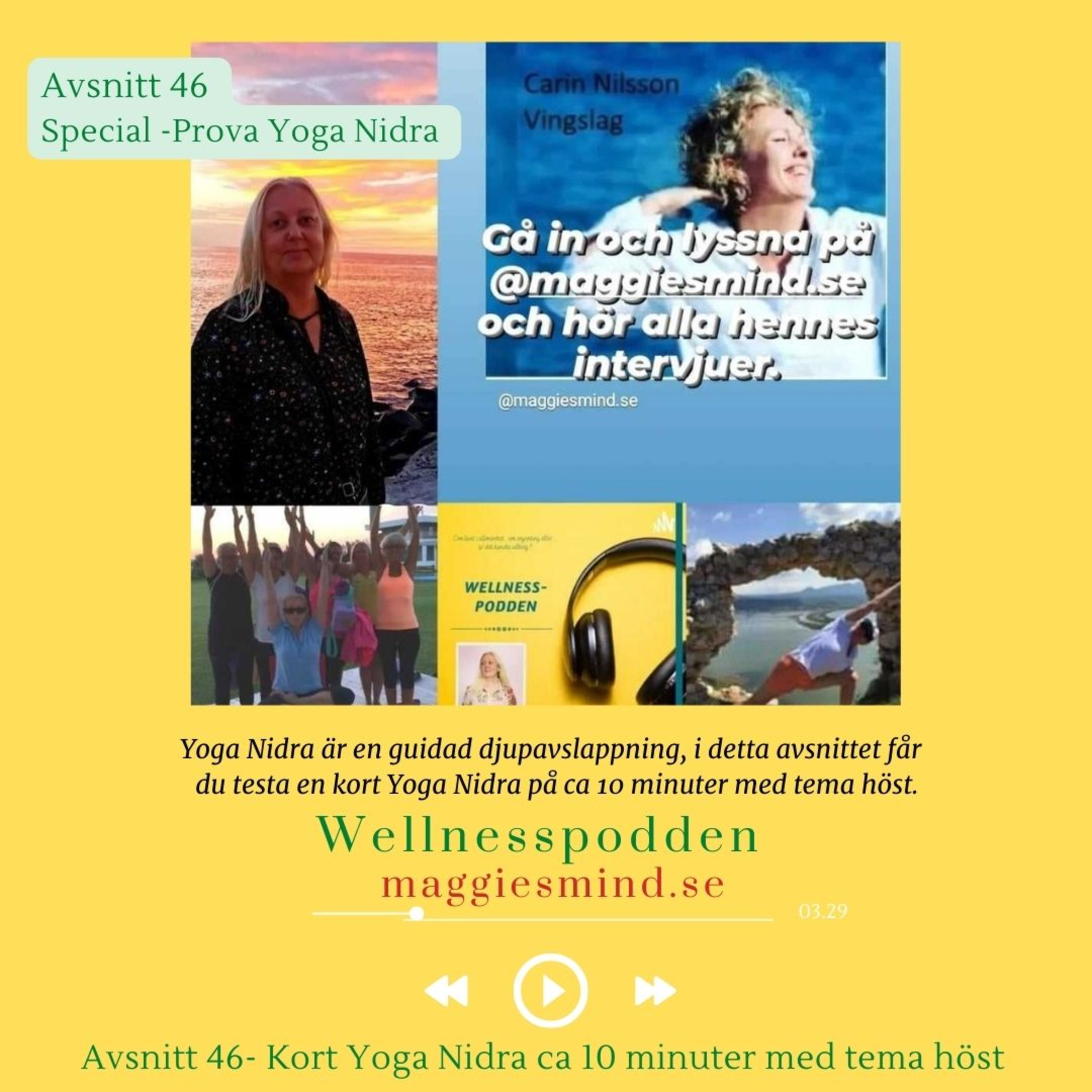 Avsnitt 46 (special ) En kort Yoga Nidra tema höst episode artwork