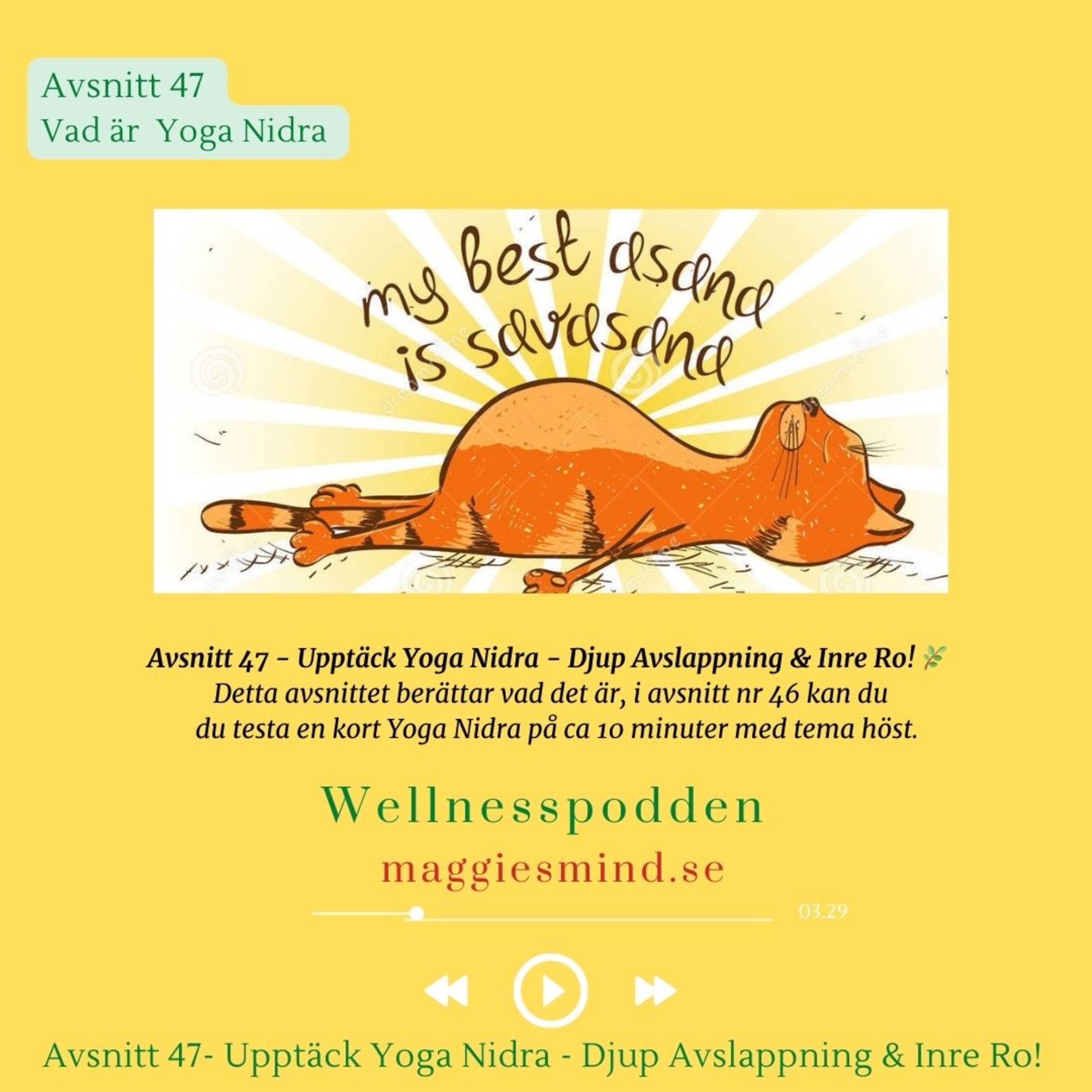 Avsnitt 47 - Upptäck Yoga Nidra -djupavslappning episode artwork