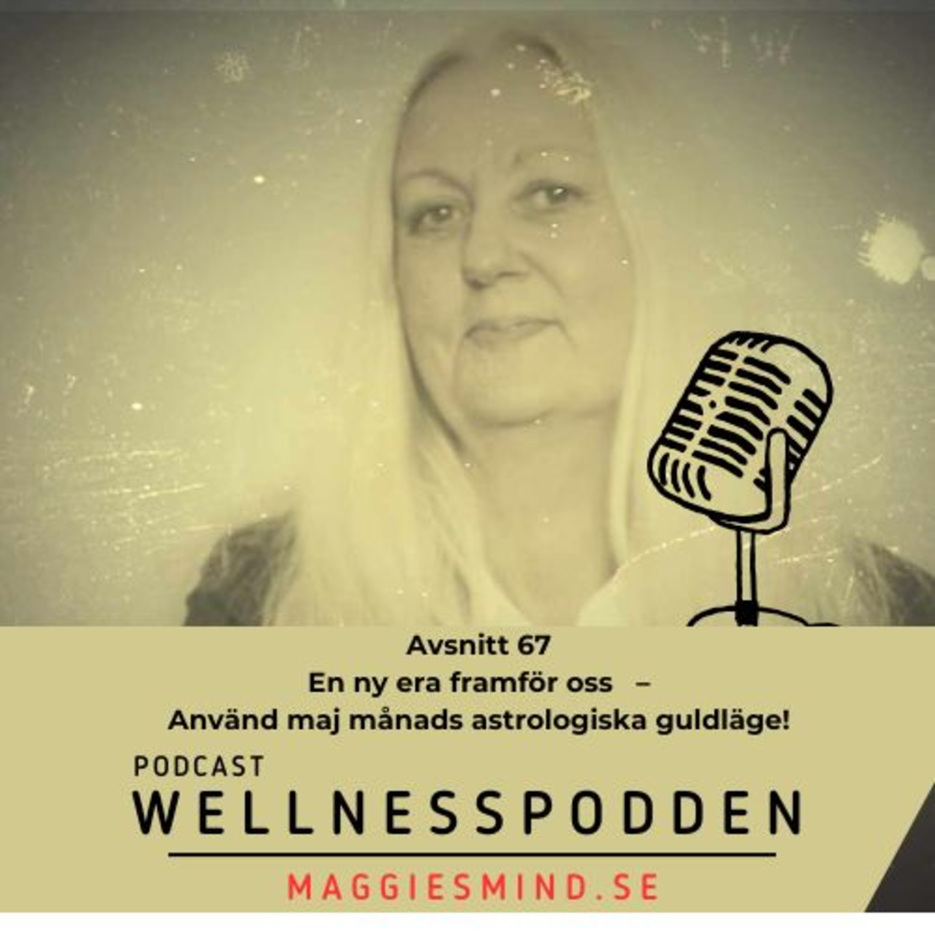 Wellnesspodden