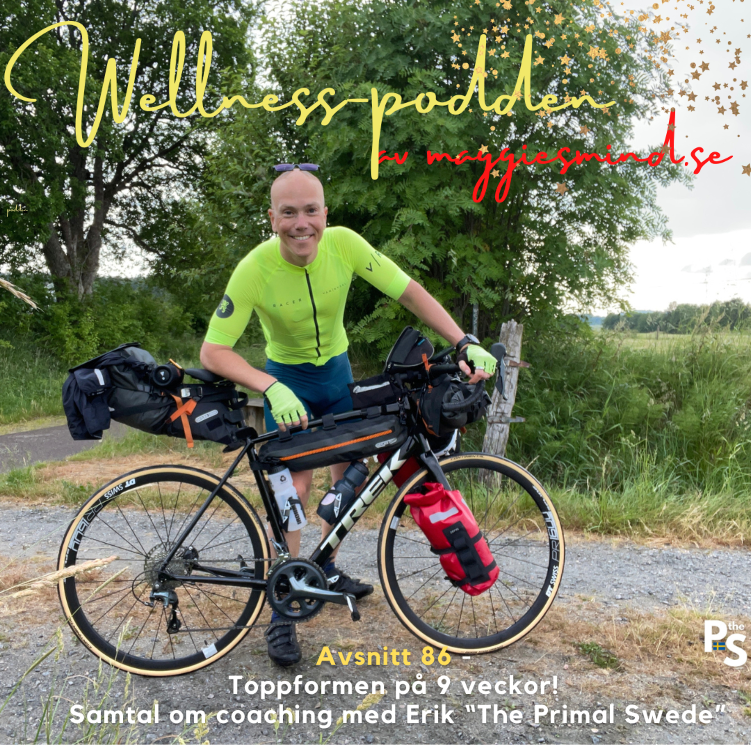 Avsnitt 86 - Toppformen på 9 veckor - Ett samtal med Erik episode artwork