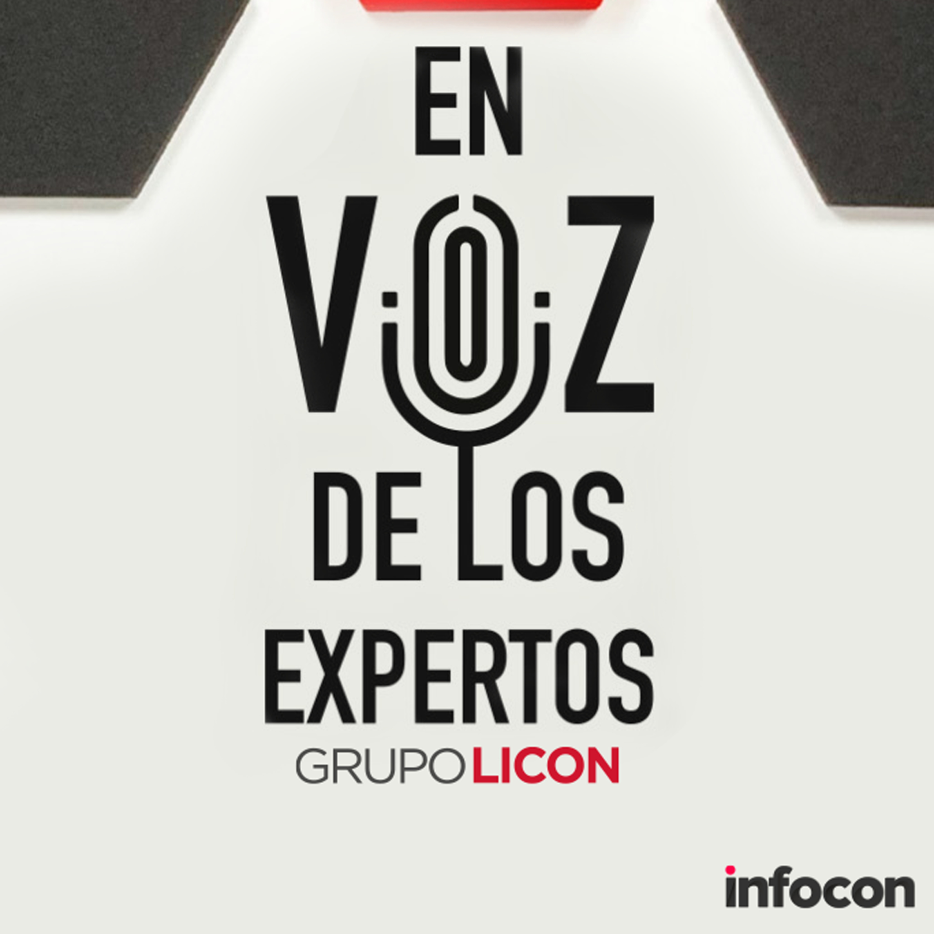 Grupo LICON