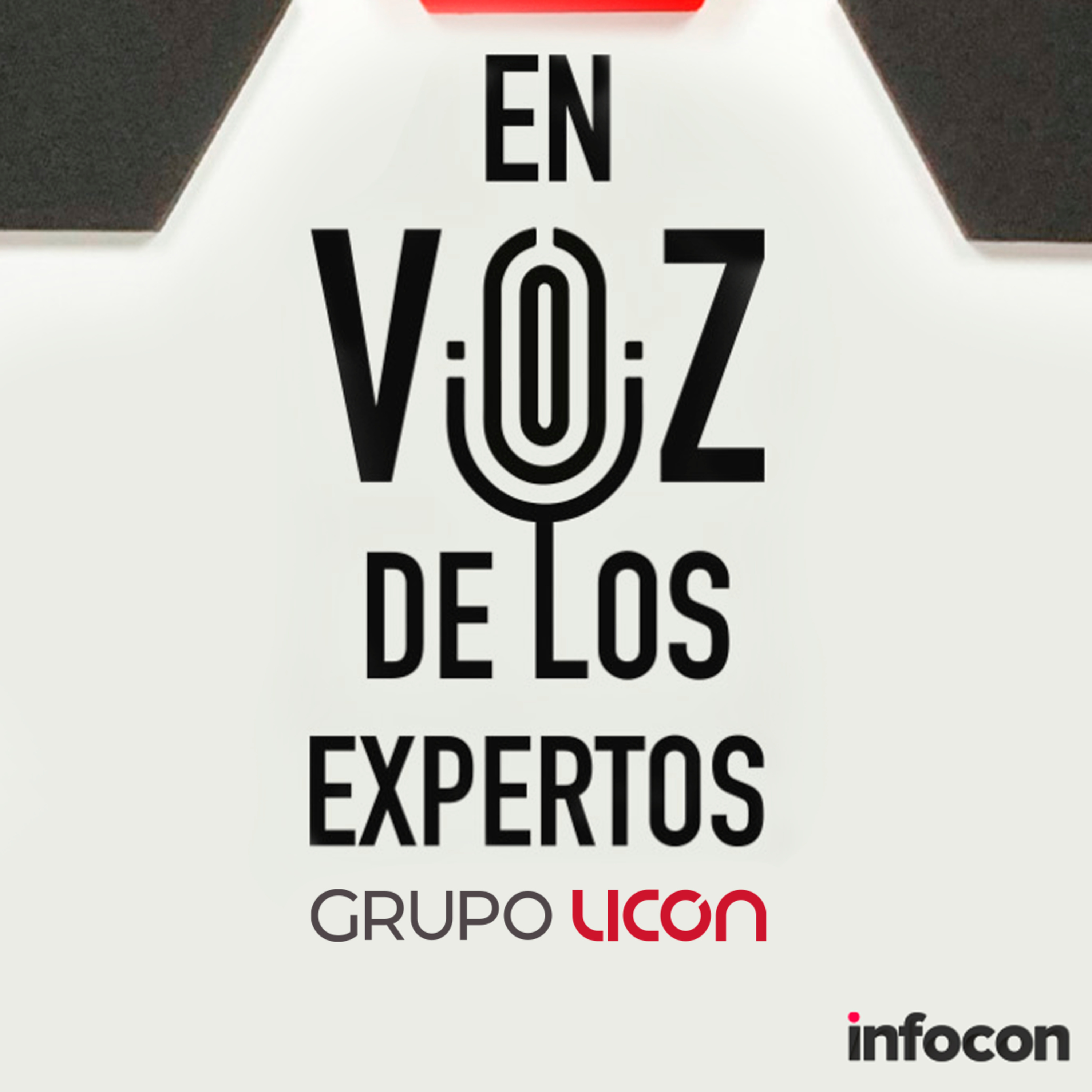 Grupo LICON