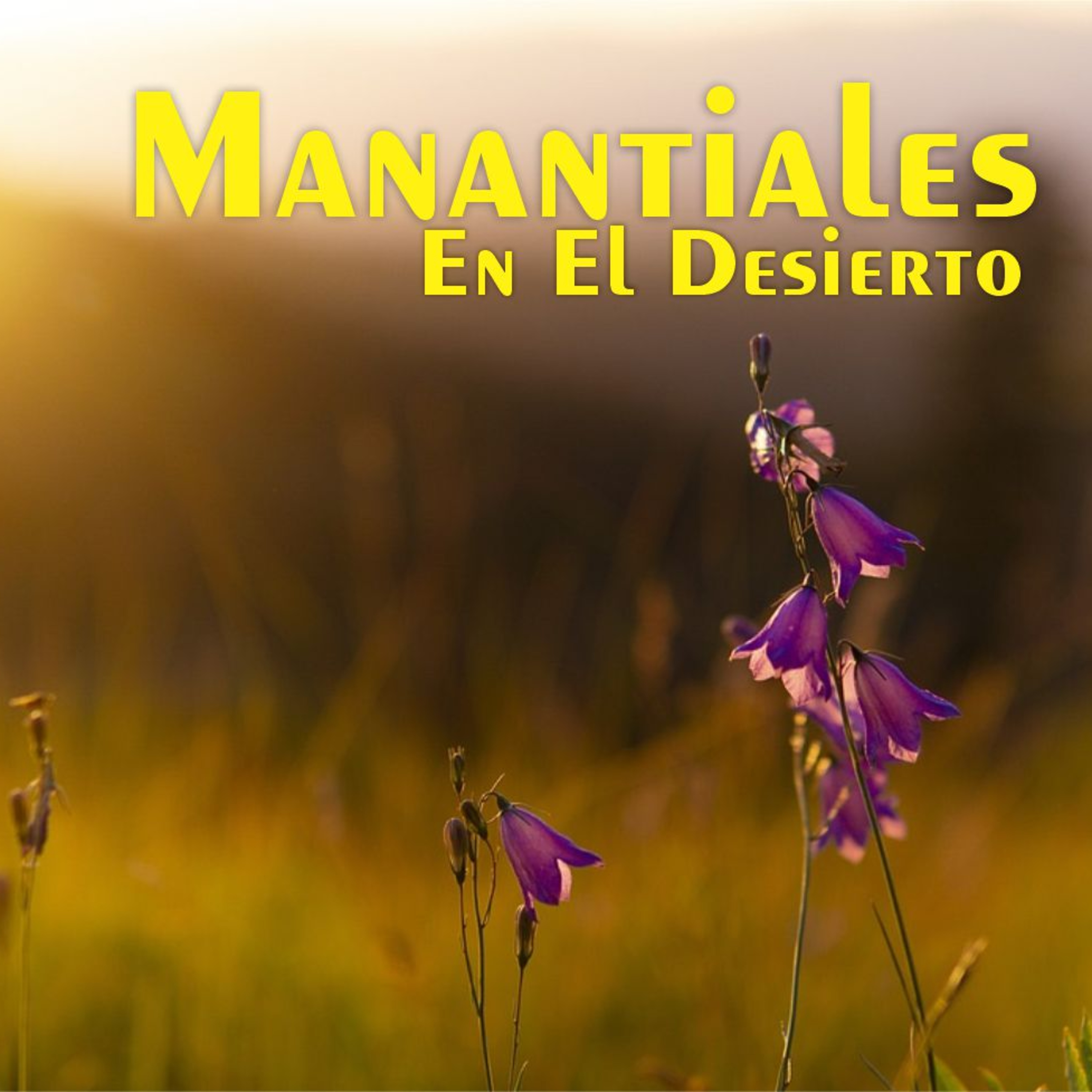 Manantiales en el Desierto - 27 de Noviembre episode artwork