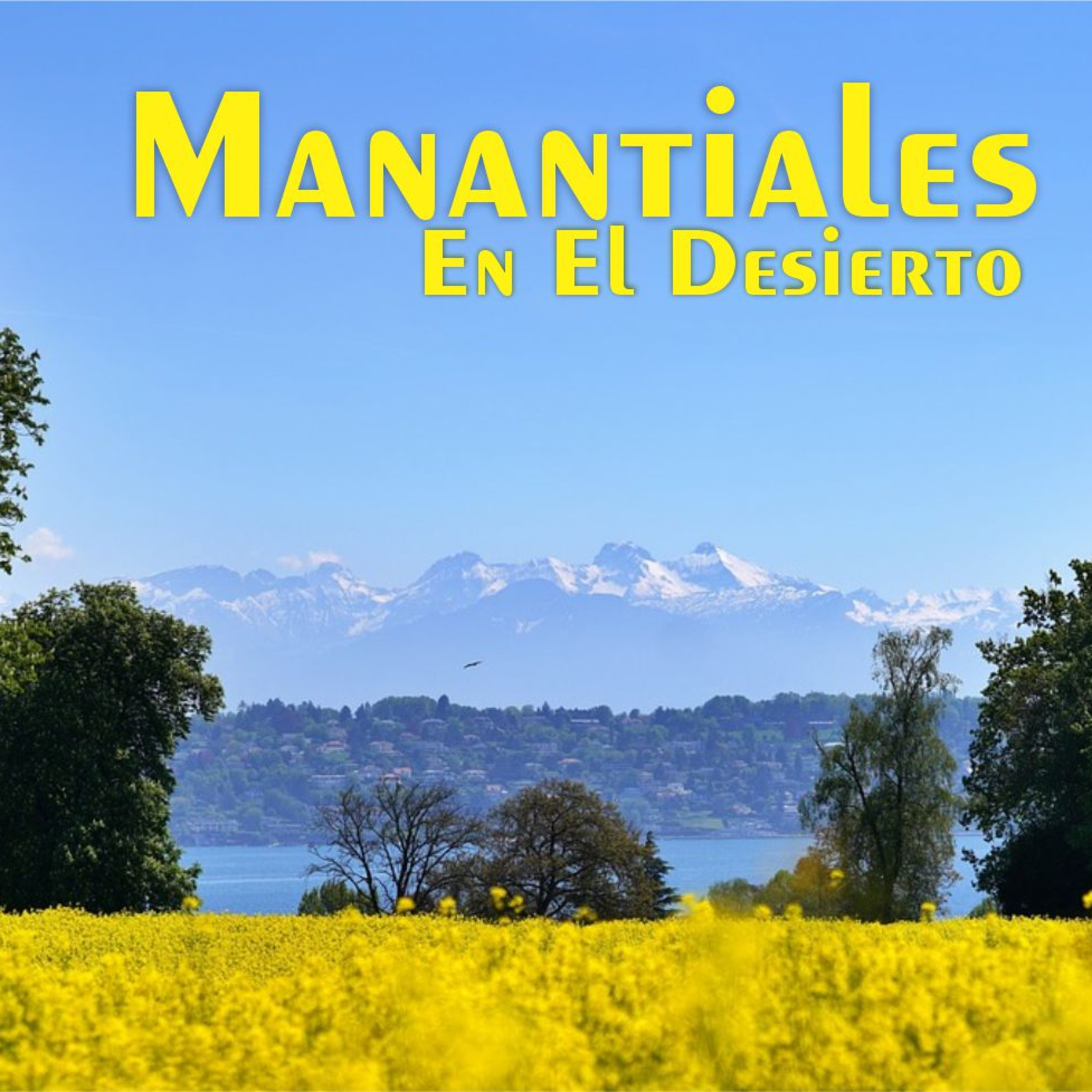 Manantiales en el Desierto - 28 de Noviembre episode artwork