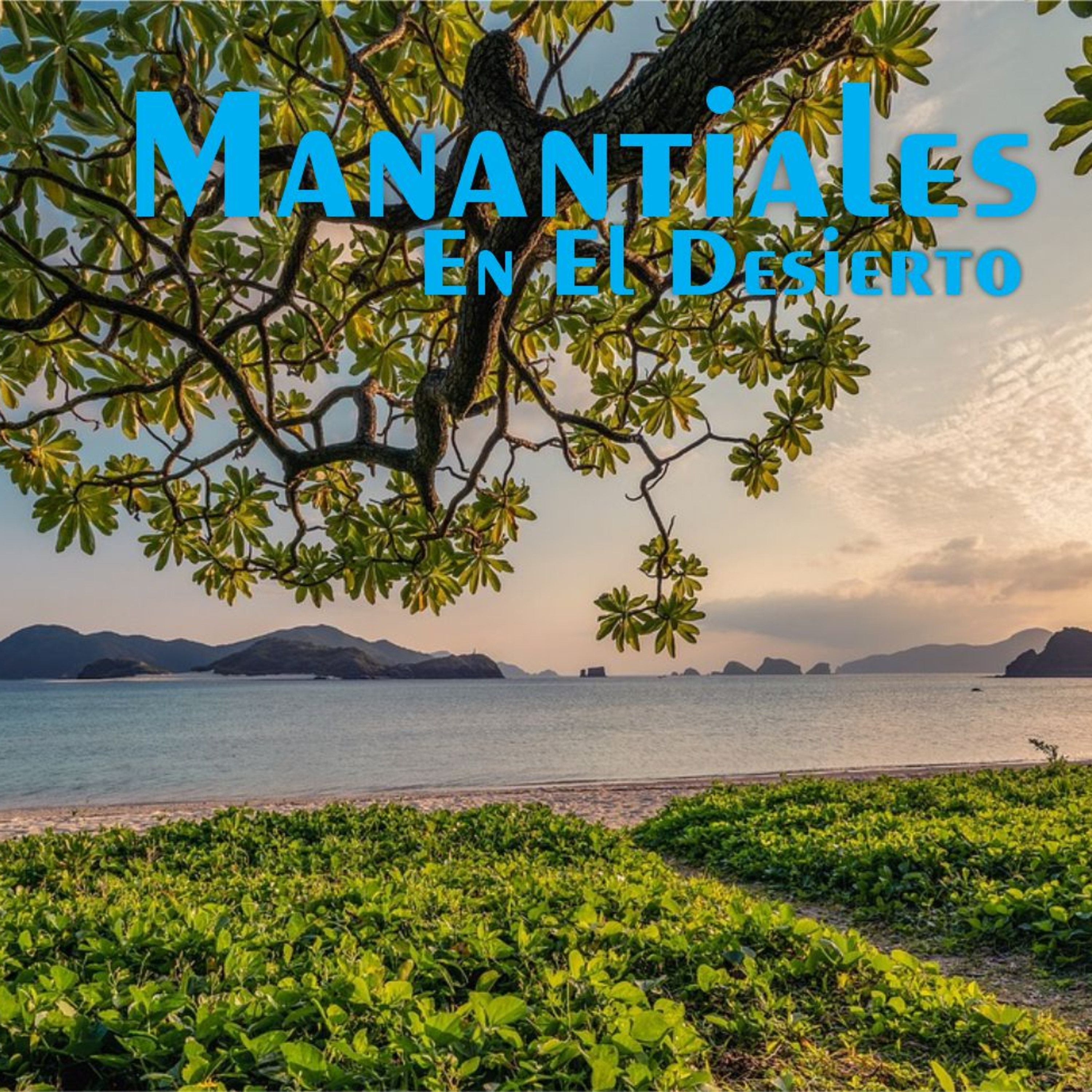 Manantiales en el Desierto - 2 de Diciembre episode artwork