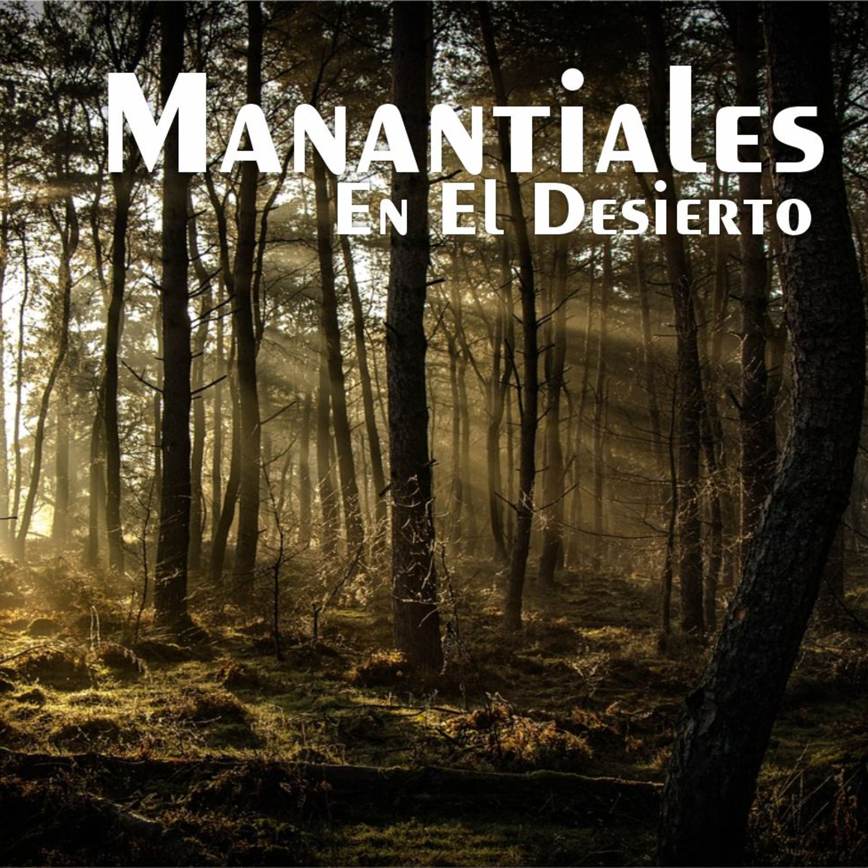 Manantiales en el Desierto - 12 de Diciembre episode artwork