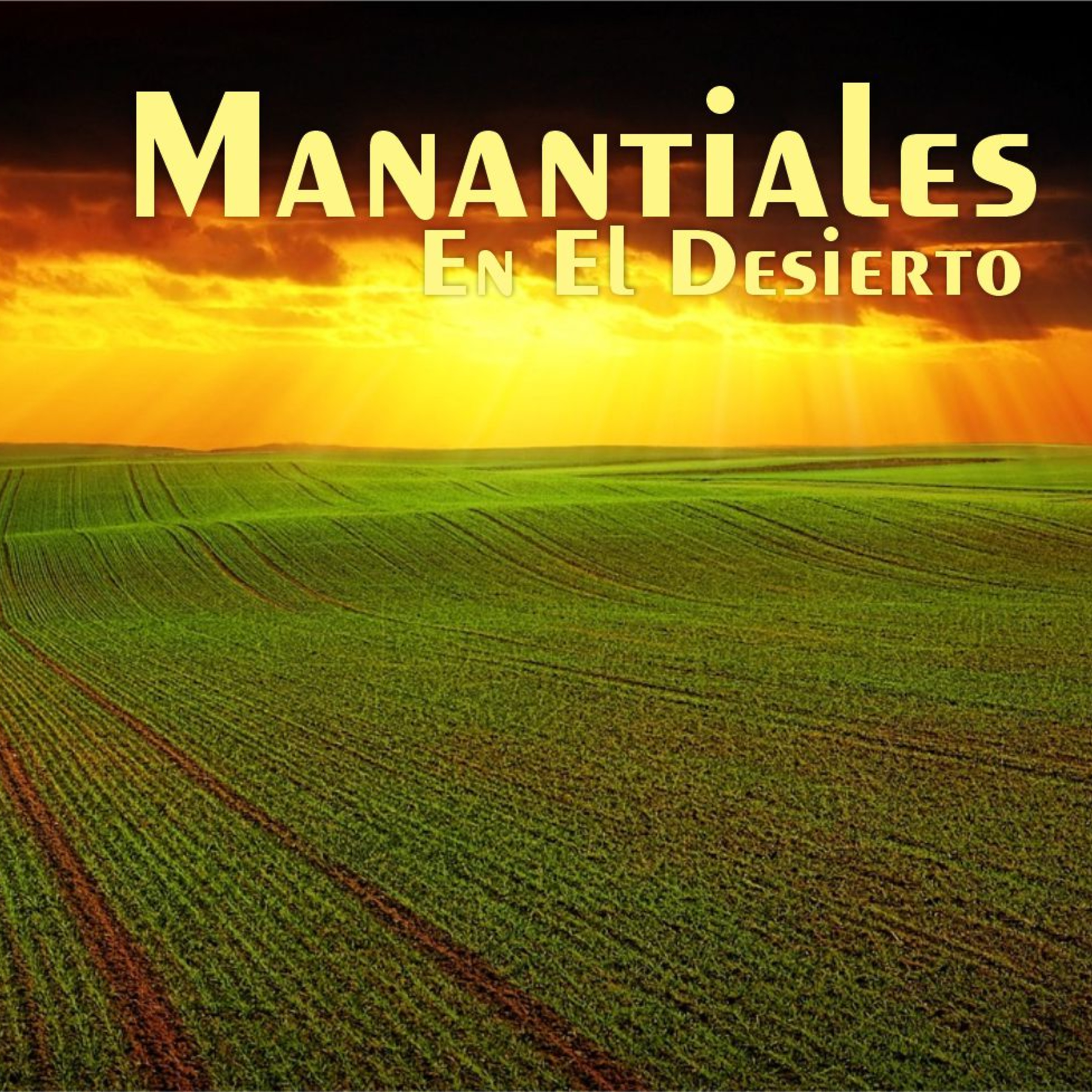 Manantiales en el Desierto - 15 de Diciembre episode artwork