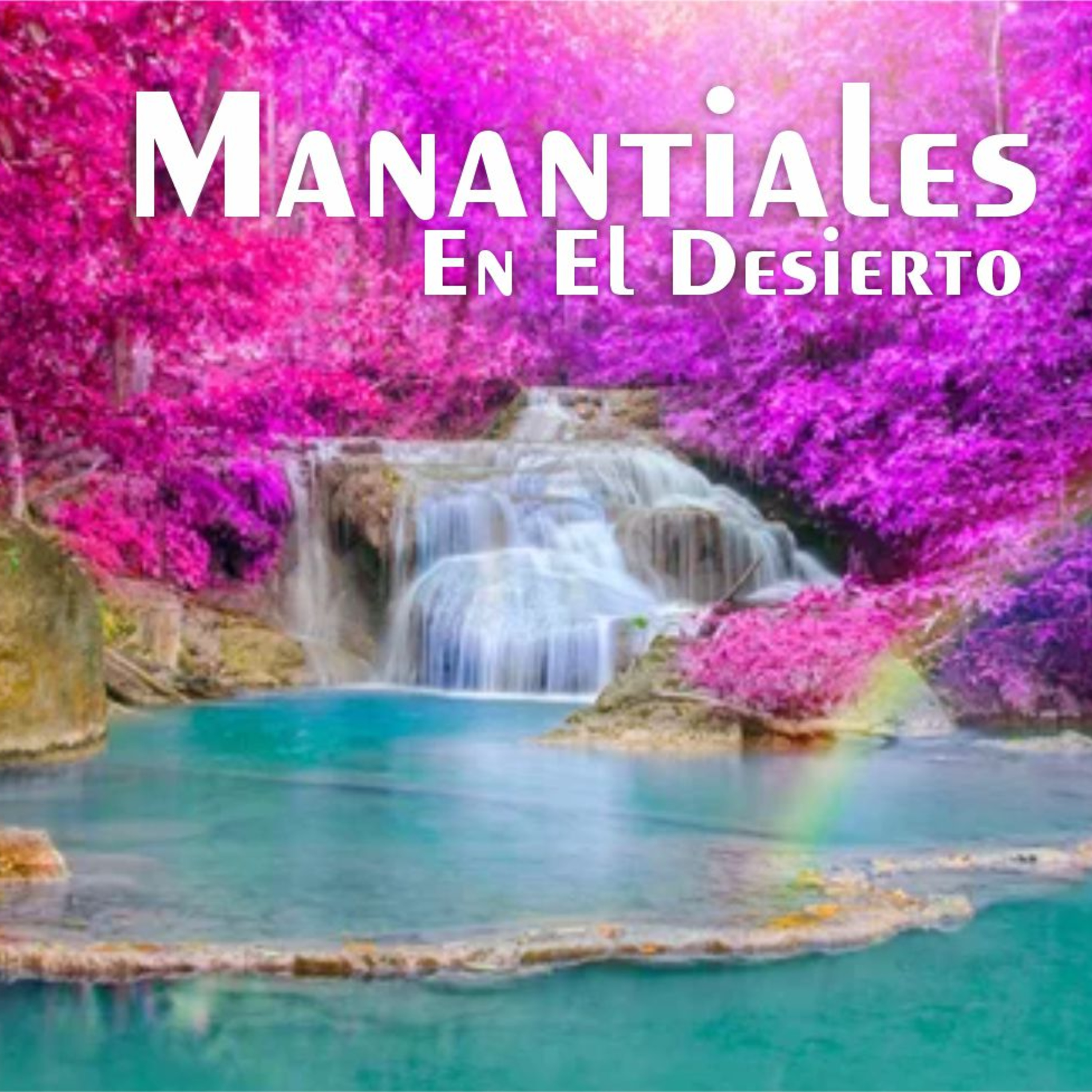 Manantiales en el Desierto - 22 de Diciembre episode artwork