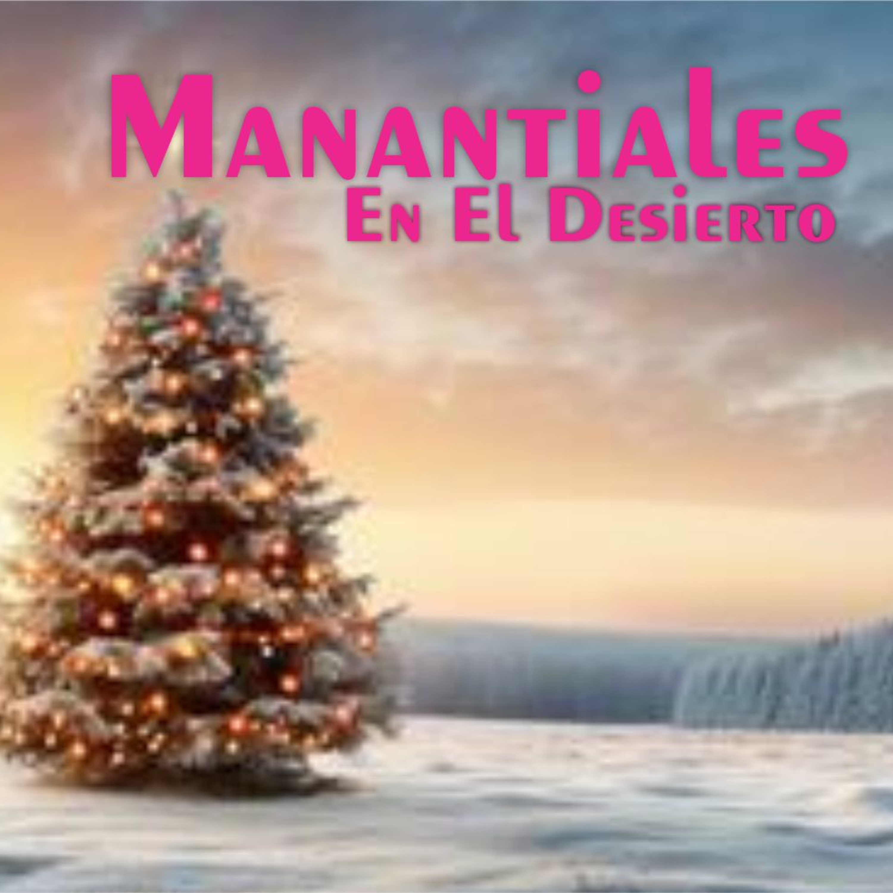 Manantiales en el Desierto - 26 de Diciembre episode artwork