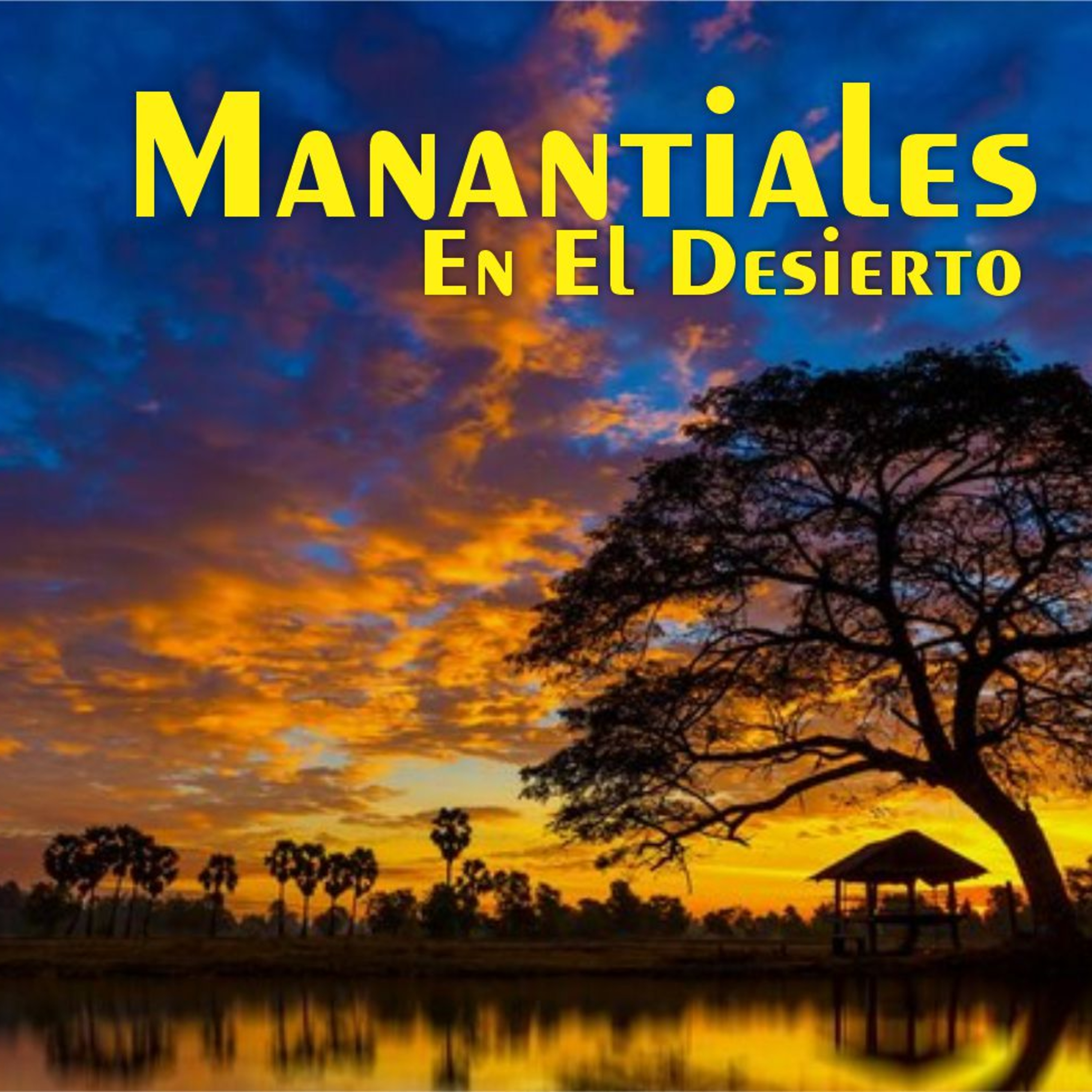 Manantiales en el Desierto - 2 de Enero episode artwork