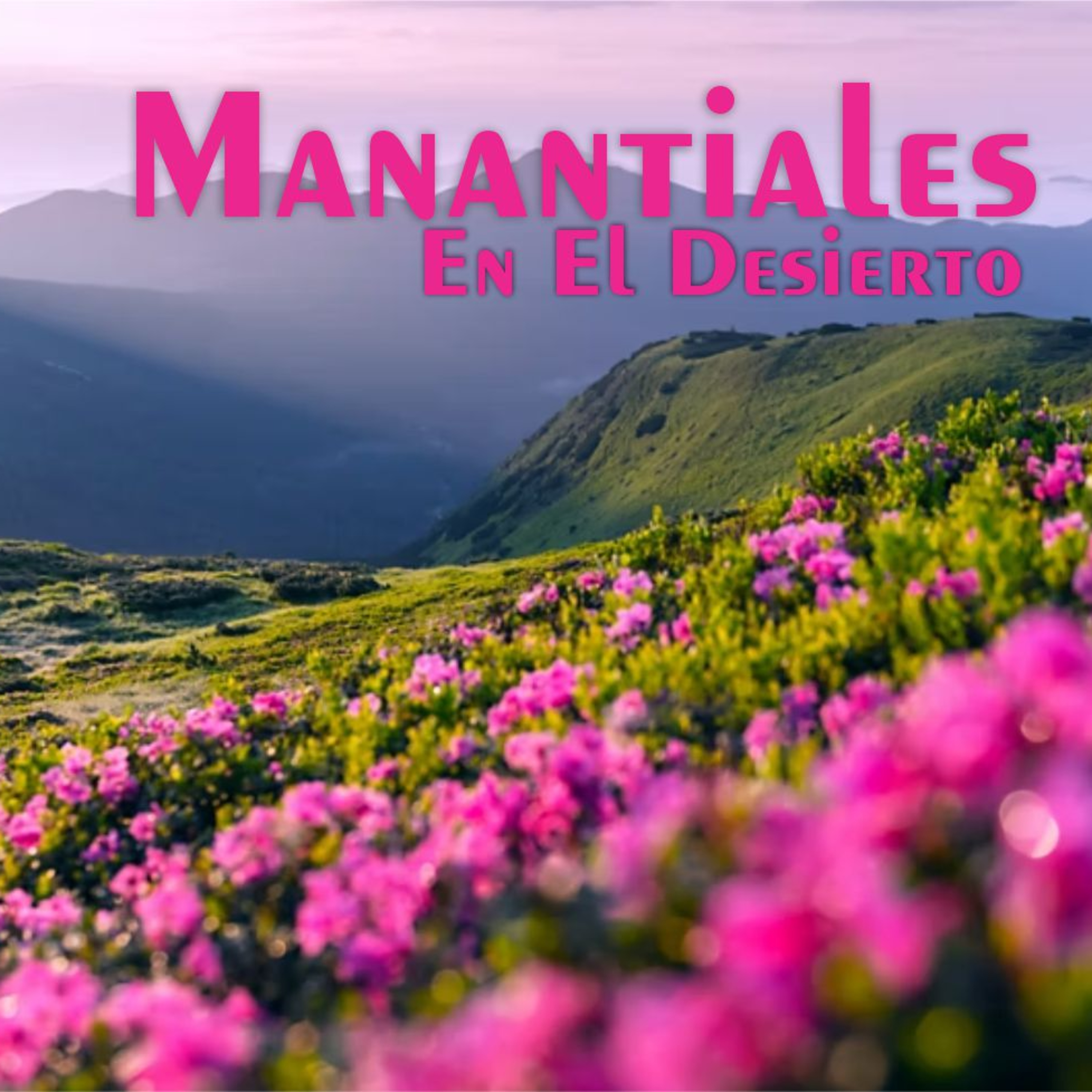 Manantiales en el Desierto - 6 de Enero episode artwork