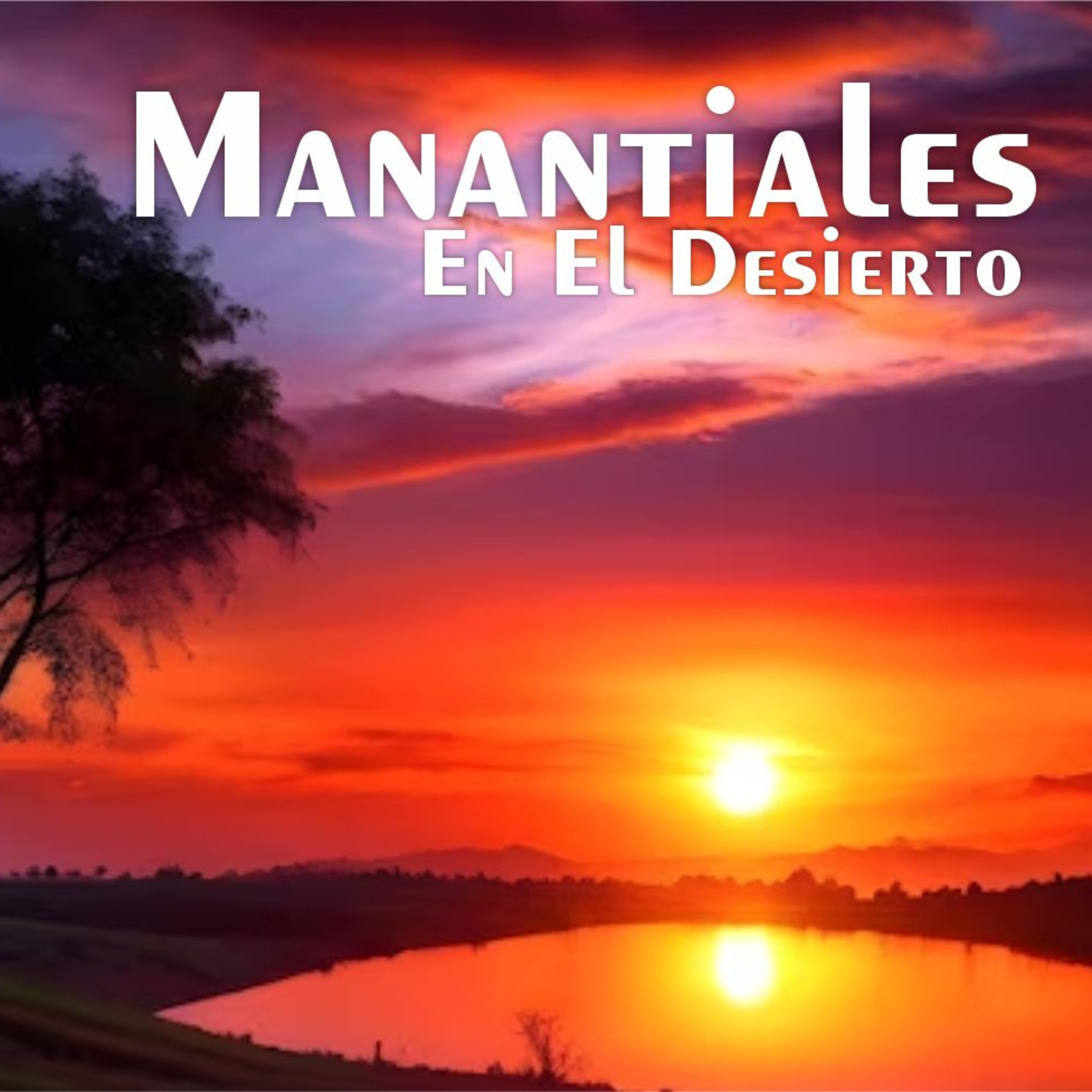 Manantiales en el Desierto - 8 de Enero episode artwork