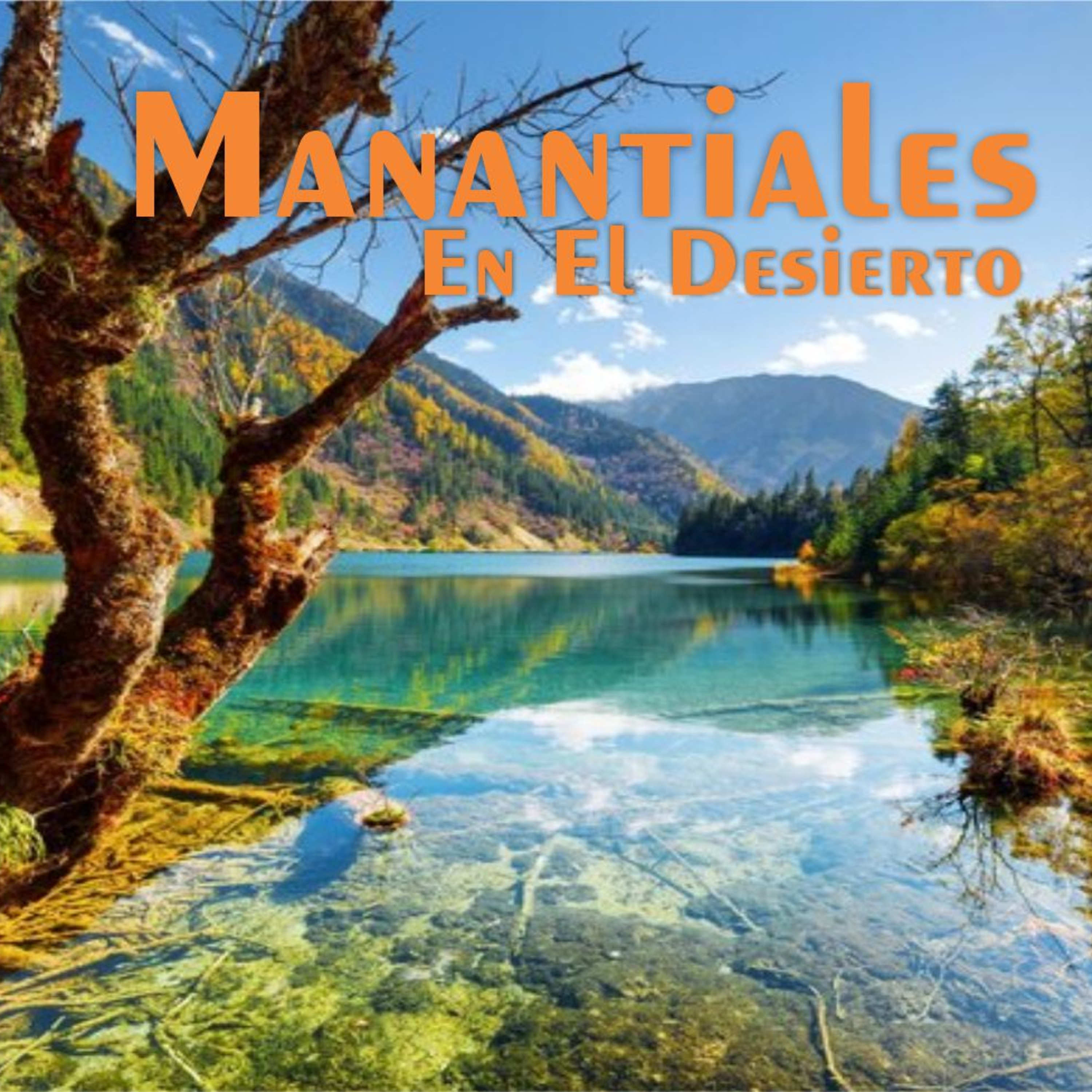 Manantiales en el Desierto - 14 de Enero episode artwork