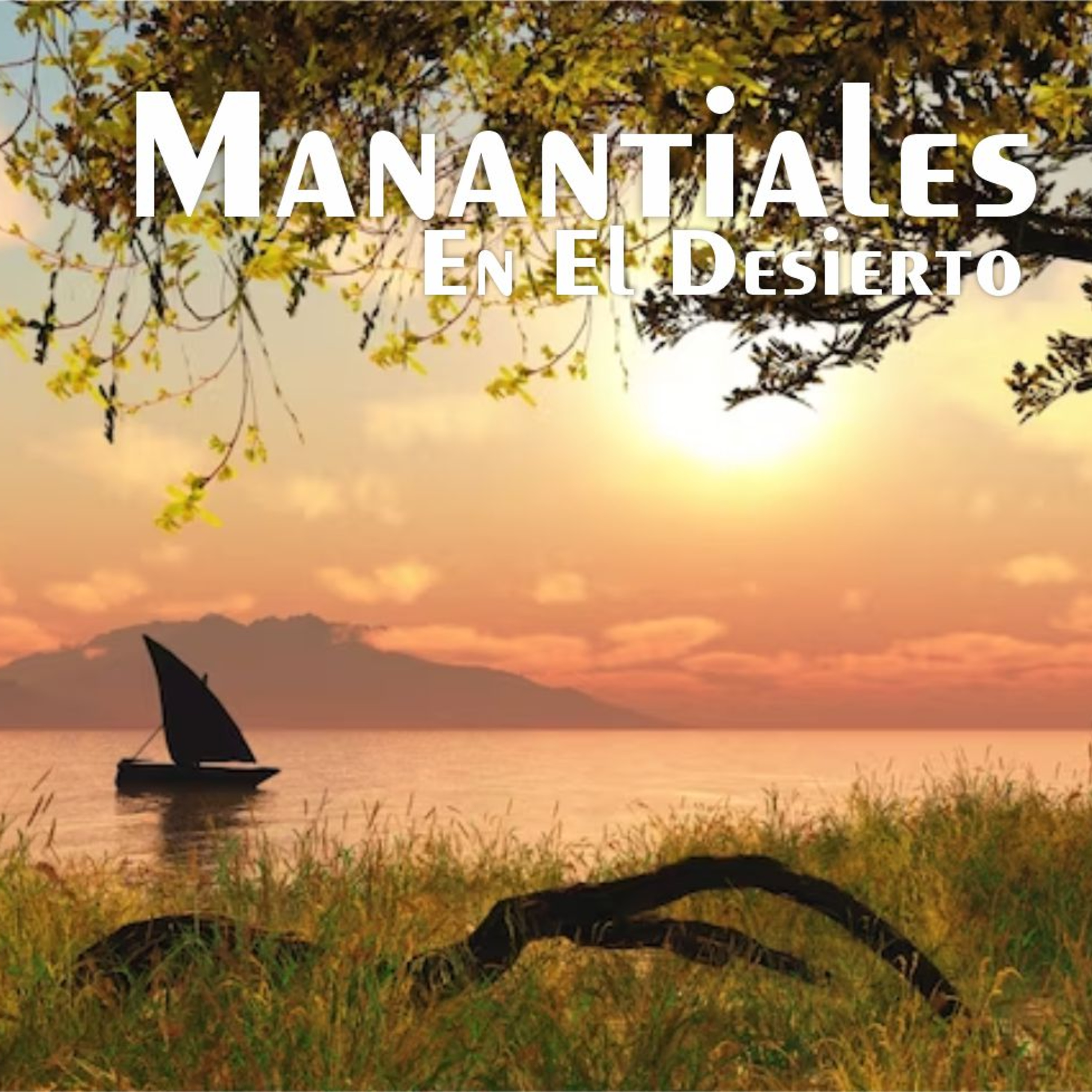 Manantiales en el Desierto - 17 de Enero episode artwork