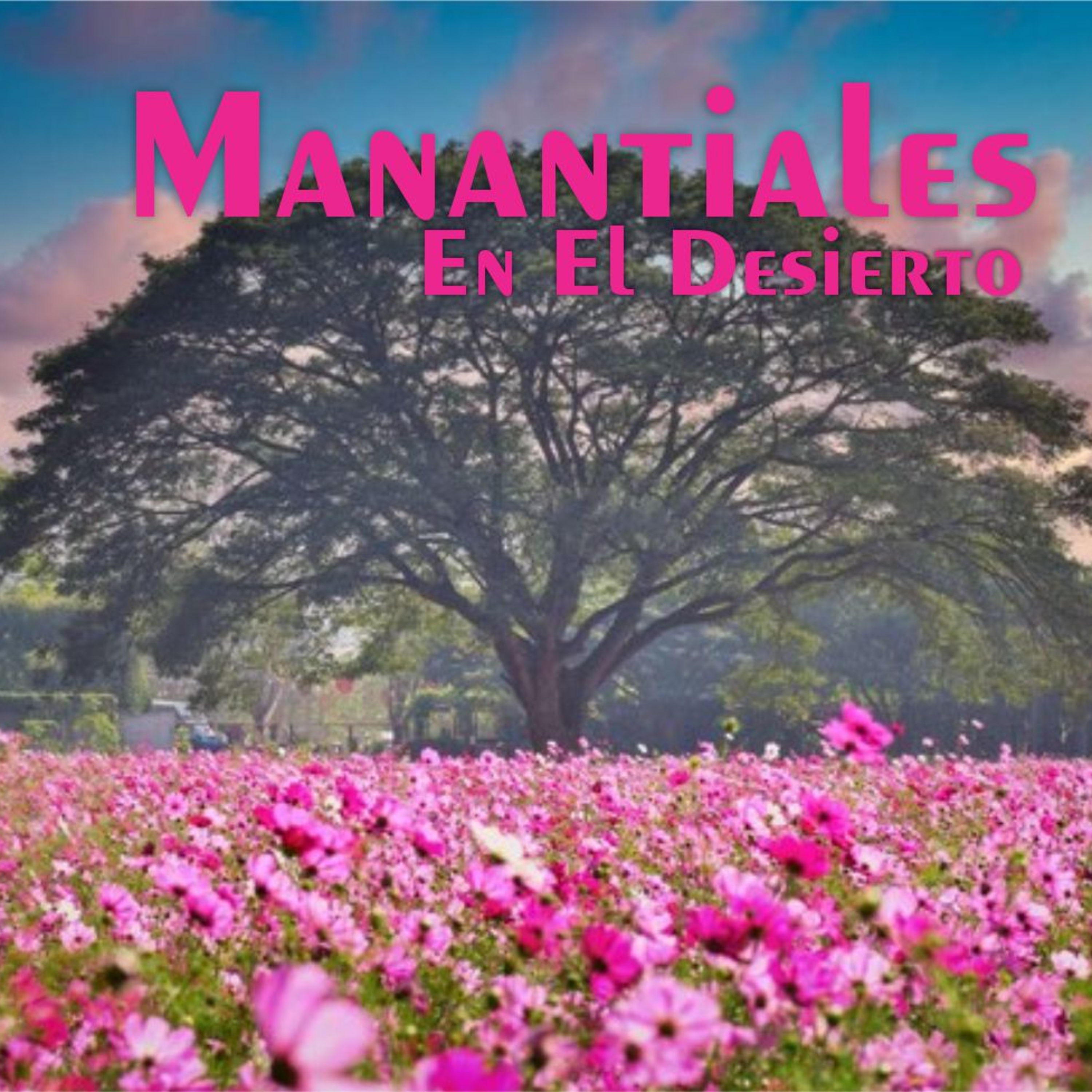 Manantiales en el Desierto - 3 de Febrero episode artwork