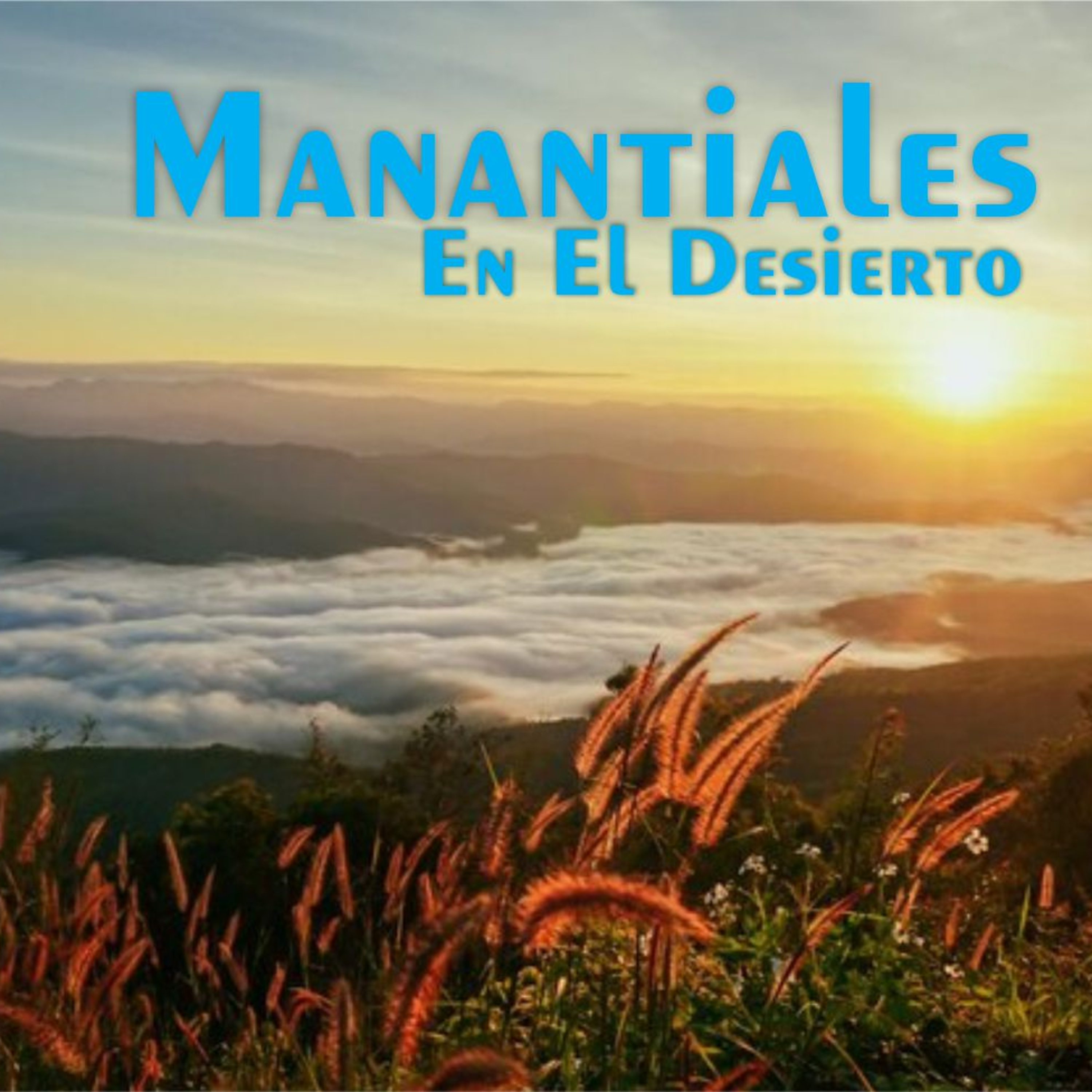 Manantiales en el Desierto - 5 de Febrero episode artwork