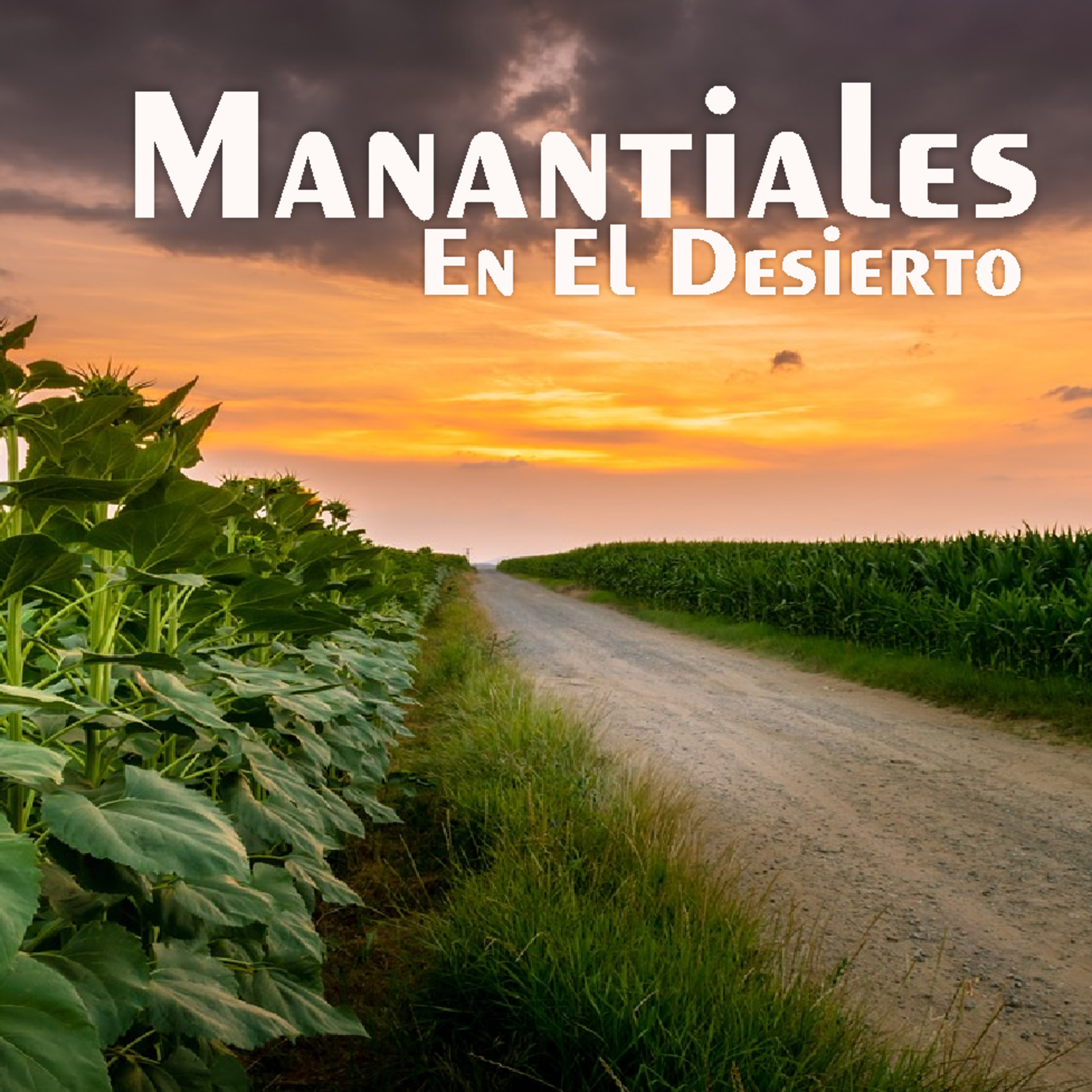 Manantiales en el Desierto - 1 de Abril episode artwork