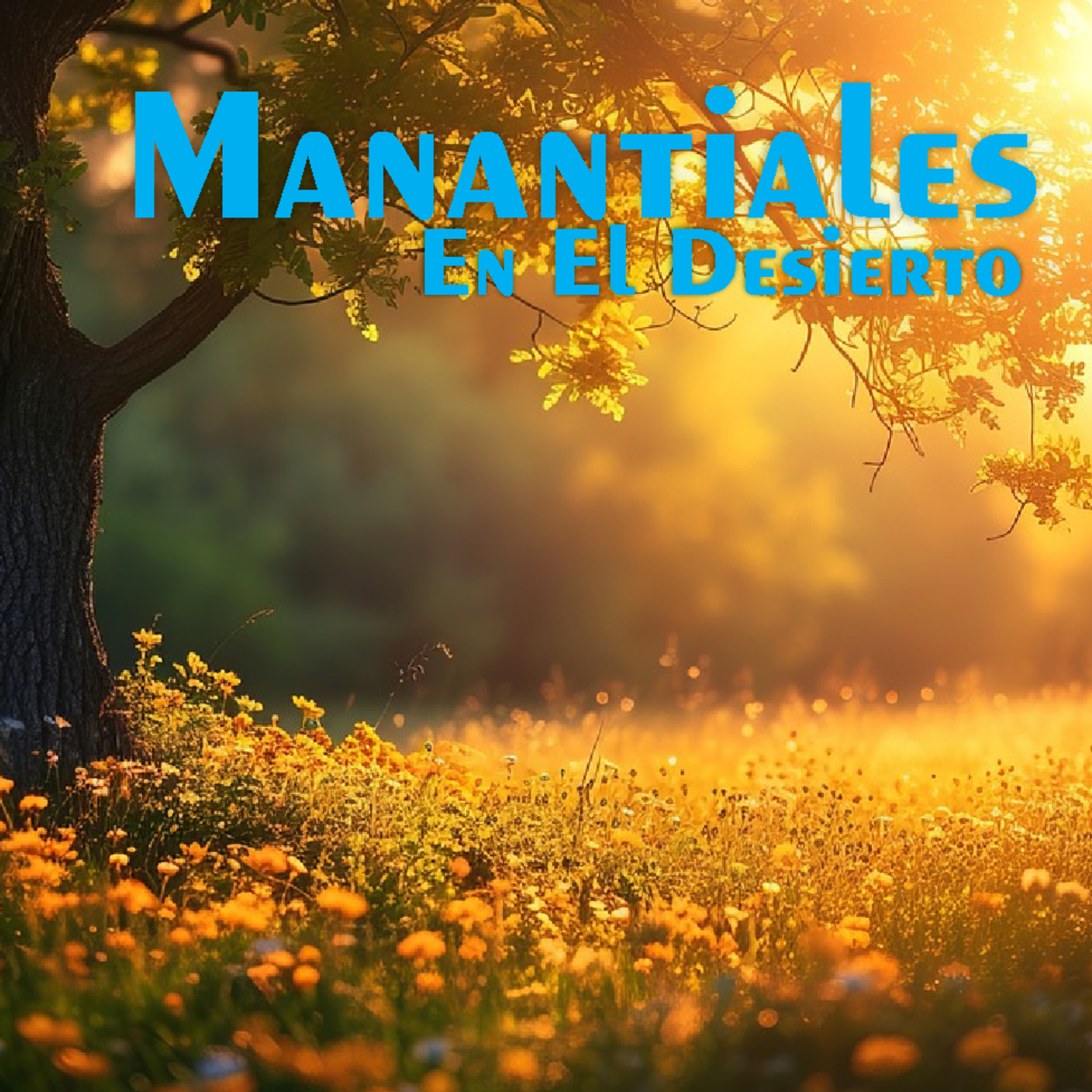 Manantiales en el Desierto - 5 de Abril episode artwork